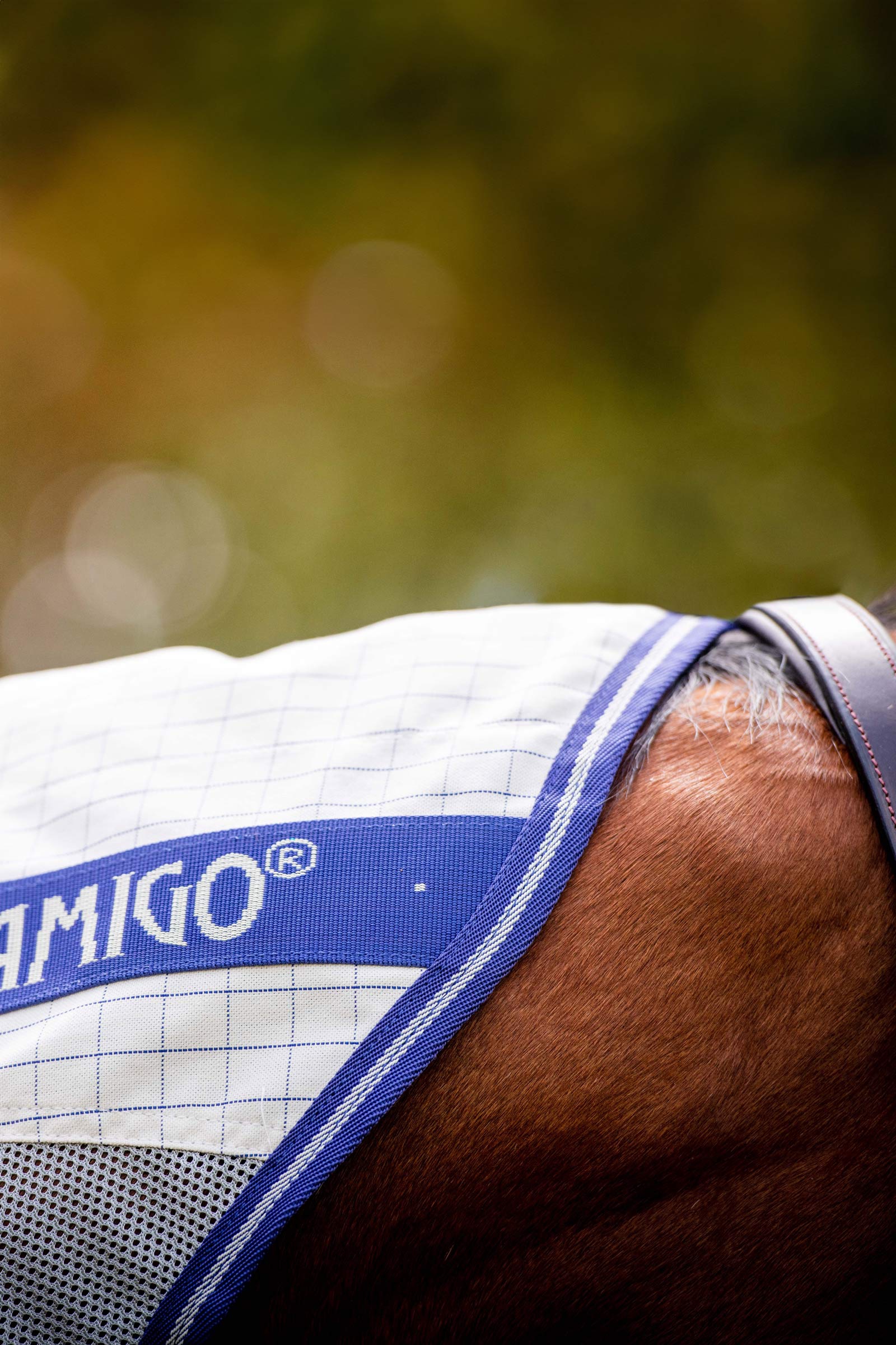 Horseware Amigo Airflow coperta anti-mosche con parte collo staccabile