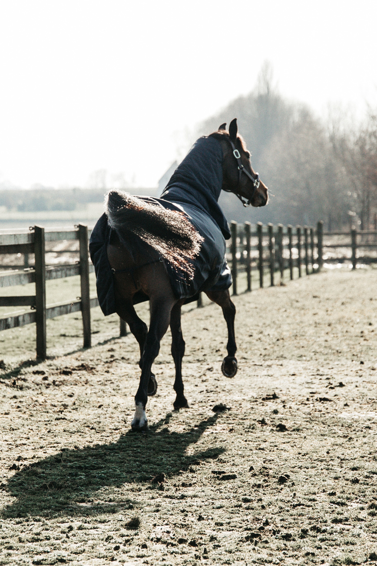 Tappeto Kentucky Horsewear Turnout, impermeabile per tutte le condizioni atmosferiche, classico, 50 g