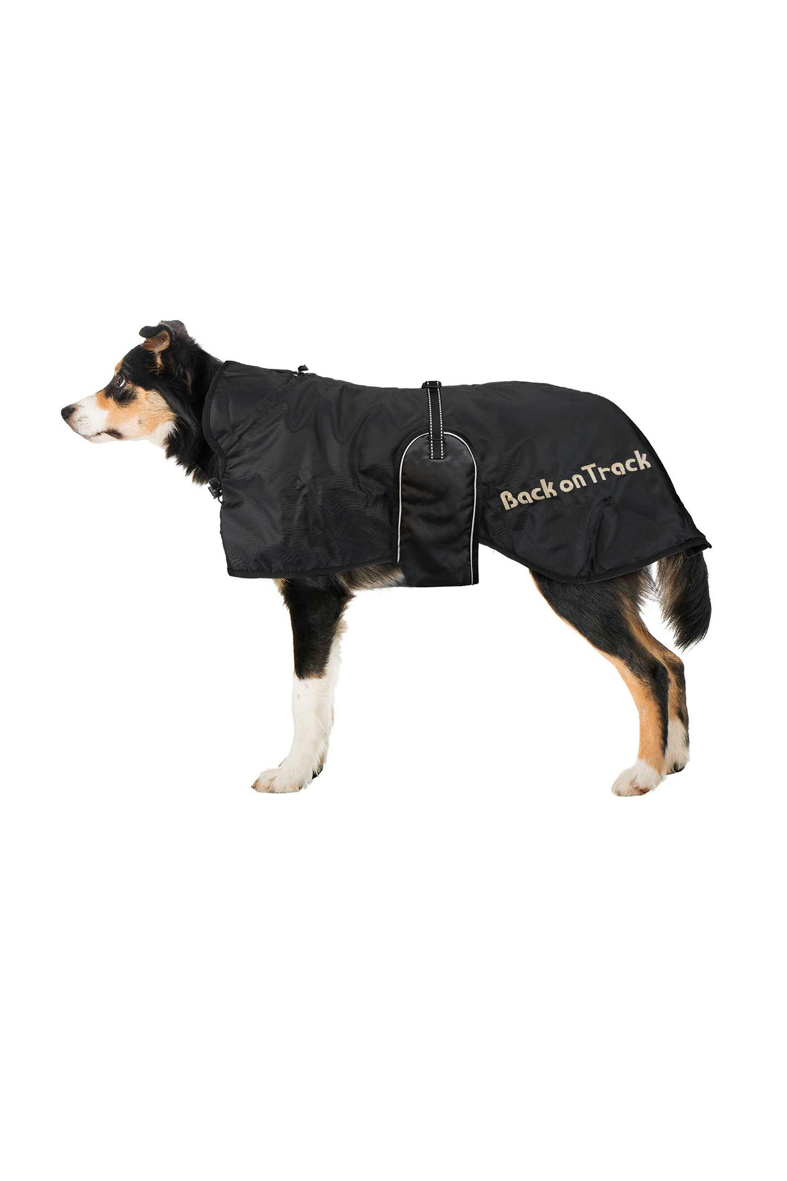 Back on Track Coperta per cani 43-59