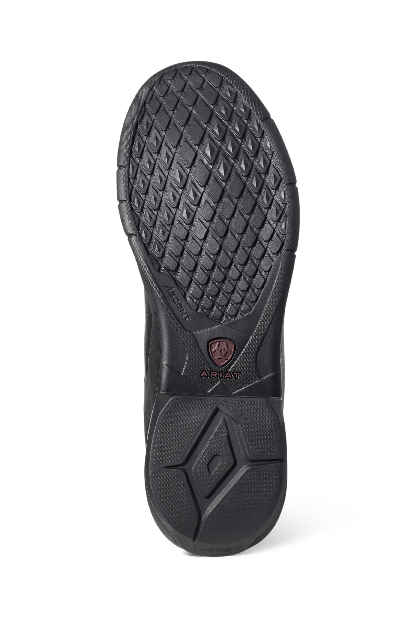 Ariat Ascent Stivali da equitazione alti per donna