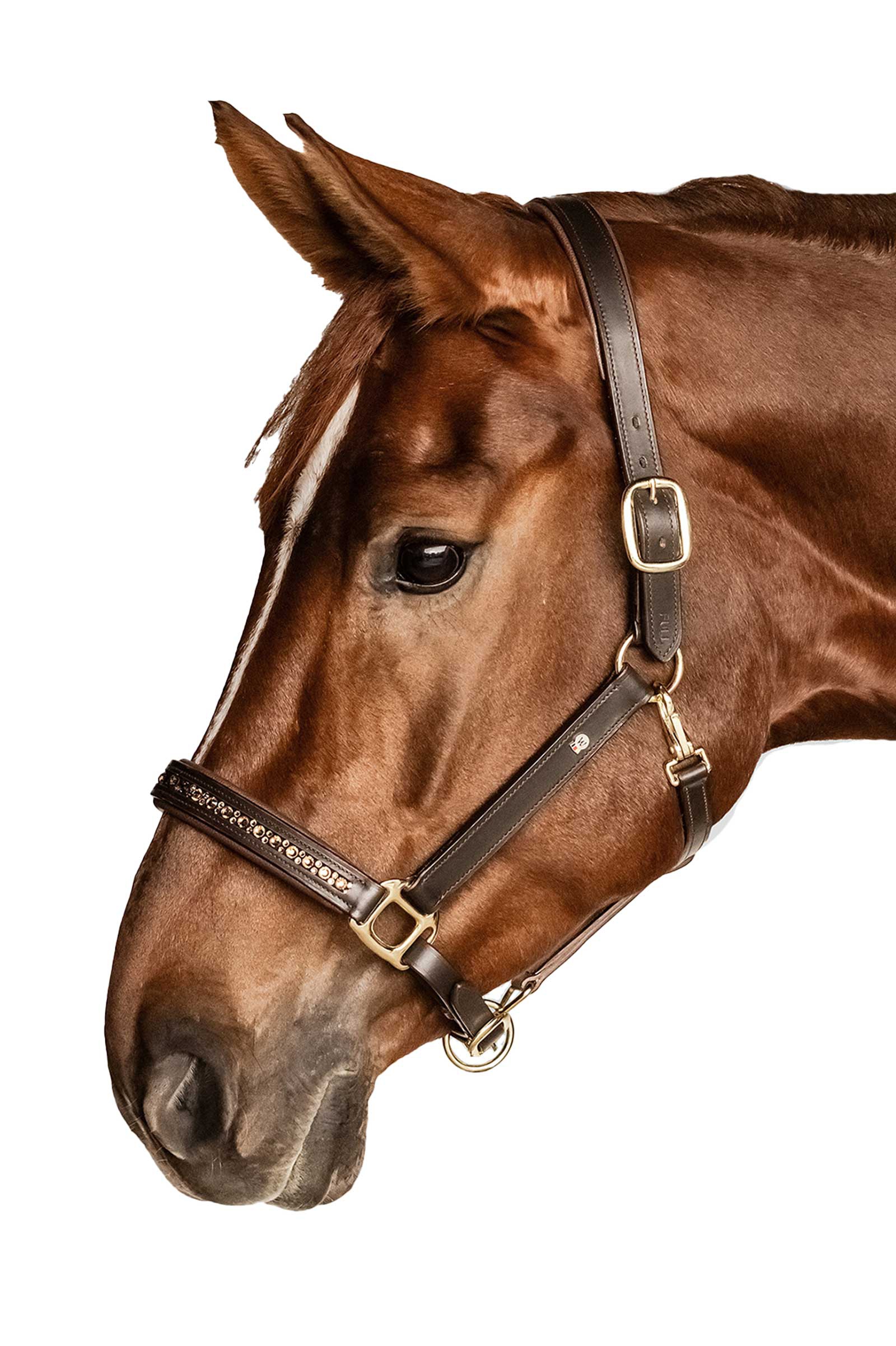 Waldhausen X-Line Crystal Cavezza in pelle