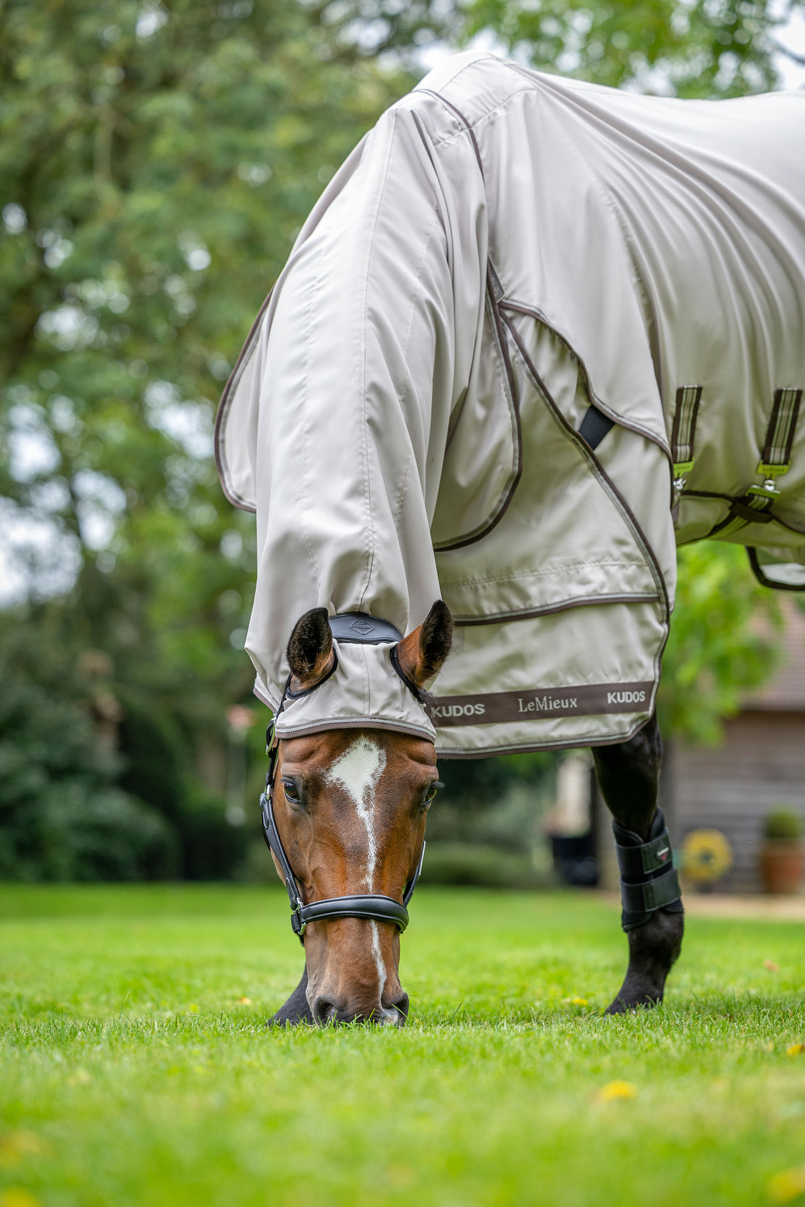 LeMieux Kudos coperta anti-prurito