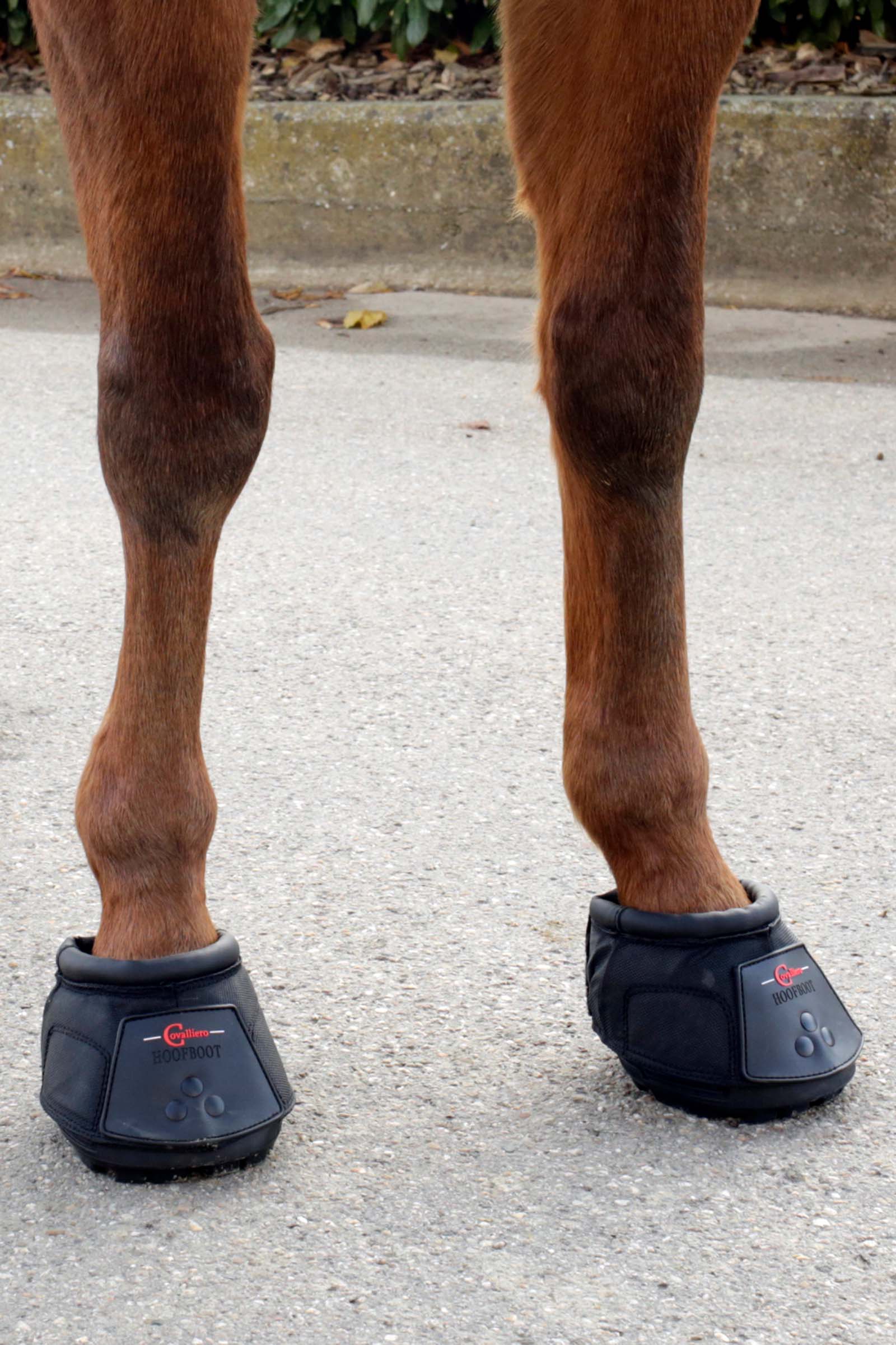 Zoccolo Covalliero (1 Pezzo)