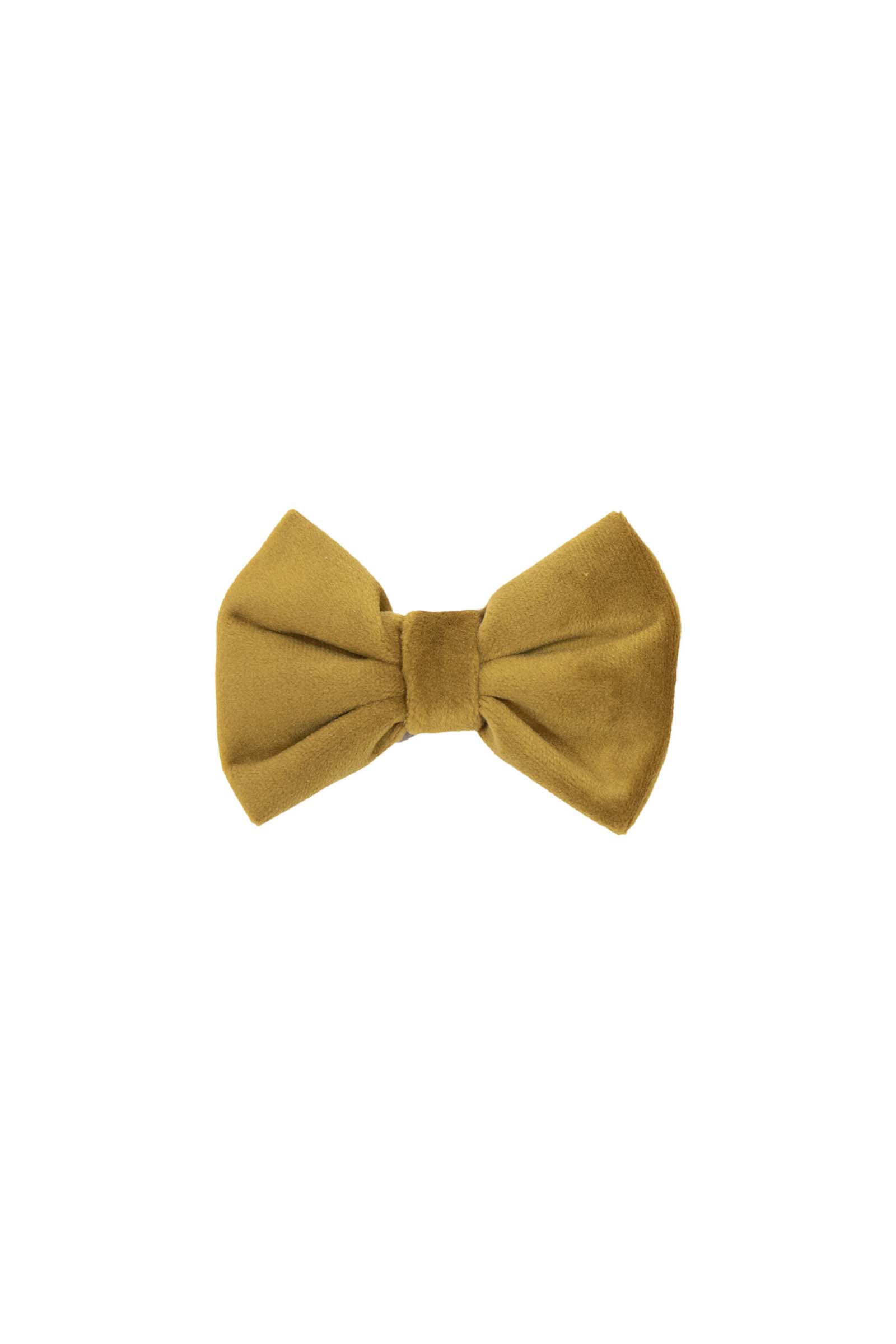 Mustard Gold Kentucky Dogwear Papillon per collare Velvet
