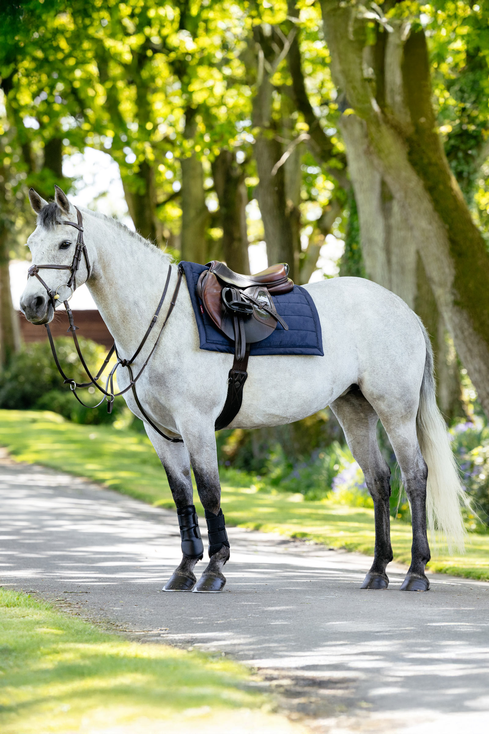 LeMieux Pillow sottosella multiuso imbottito