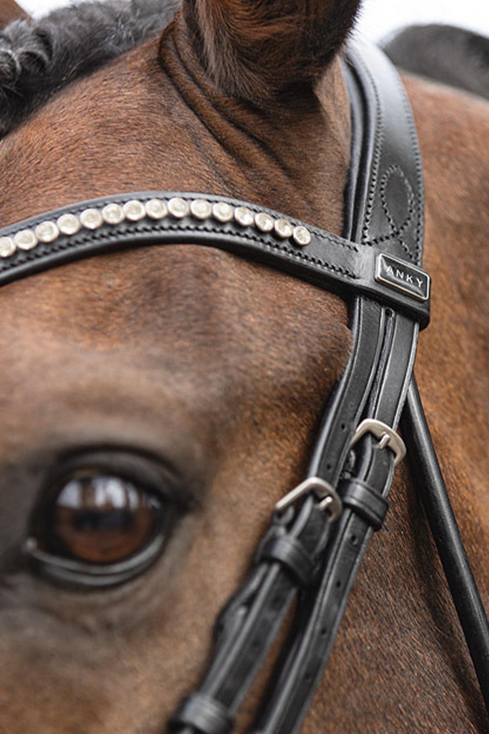 ANKY Anatomic Briglia con nasello sagomato