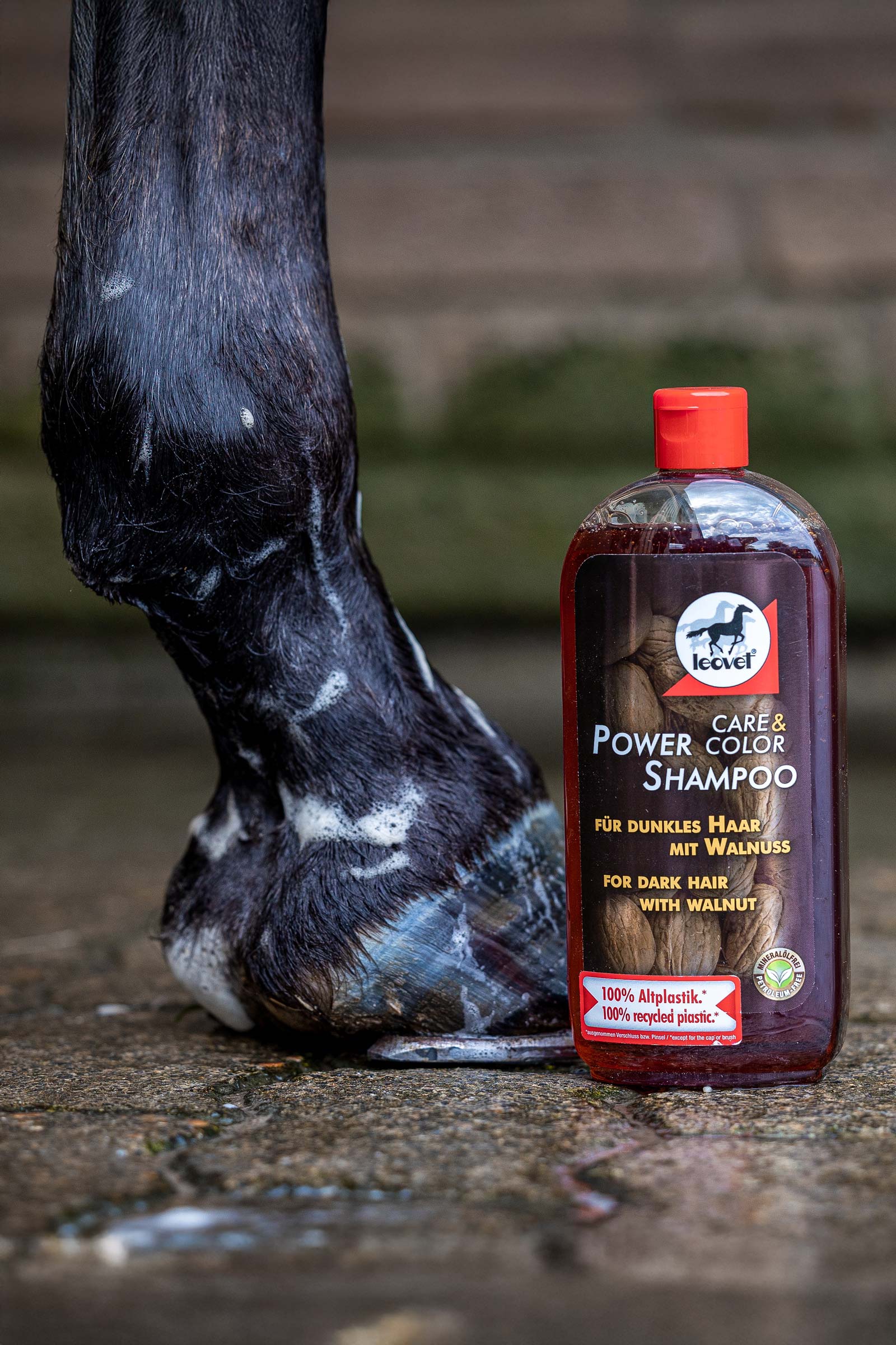 Leovet Power Shampoo Noce