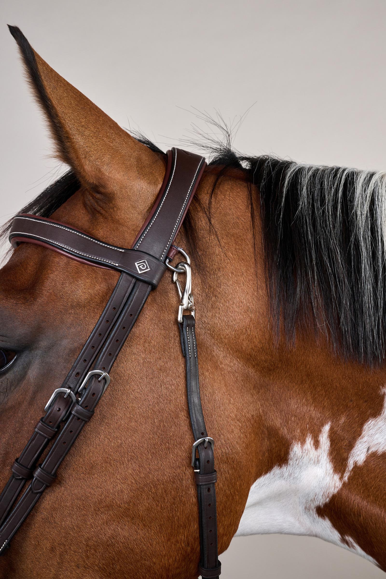 Dy'on Working briglia con capezzina combinata e moschettoni  