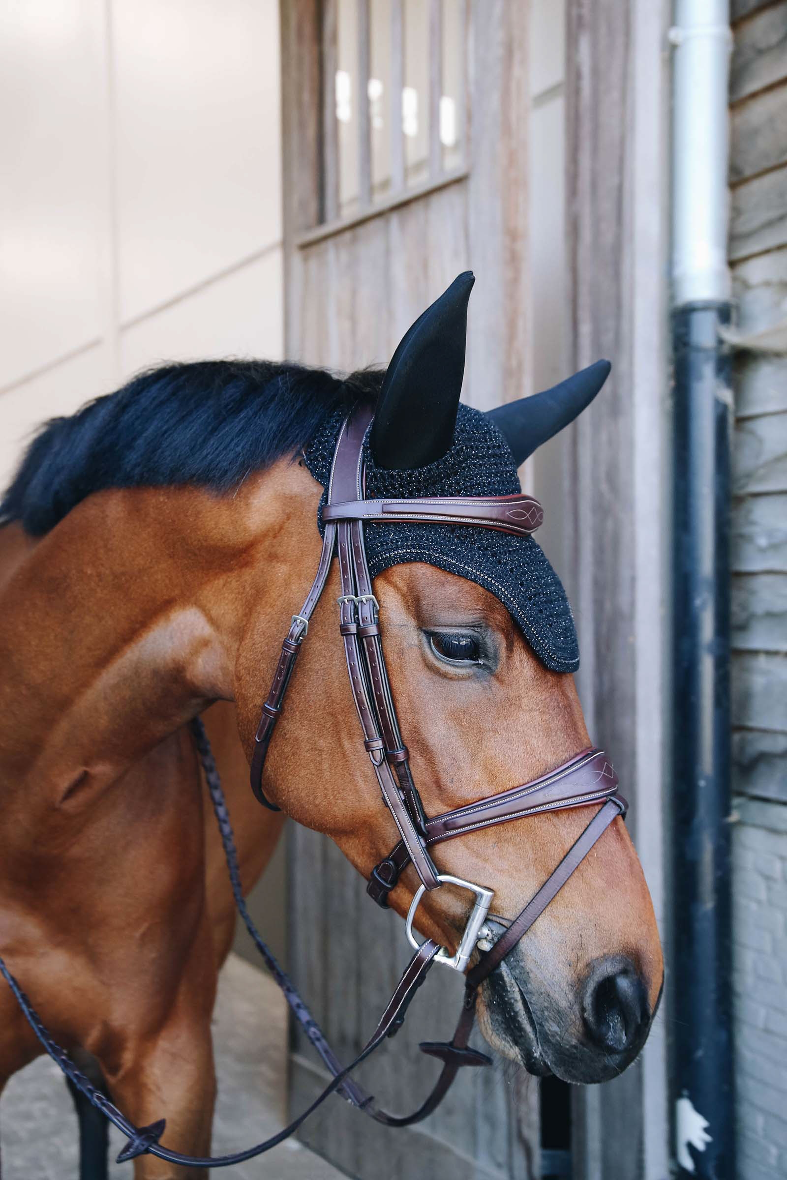 Kentucky Horsewear Wellington Sparkling Fly Veil