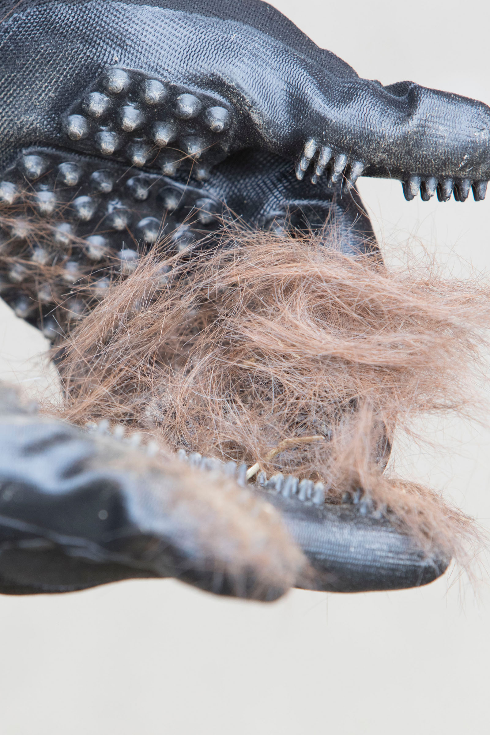 LeMieux Hands On guanto da grooming