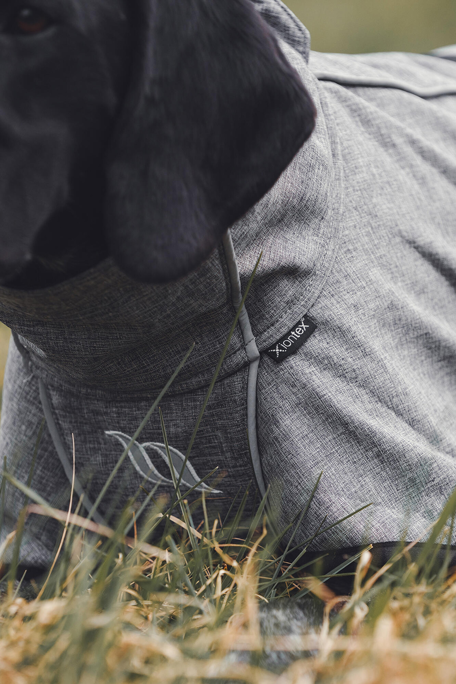 Back on Track Bark Cappottino per cani, 40-50 cm