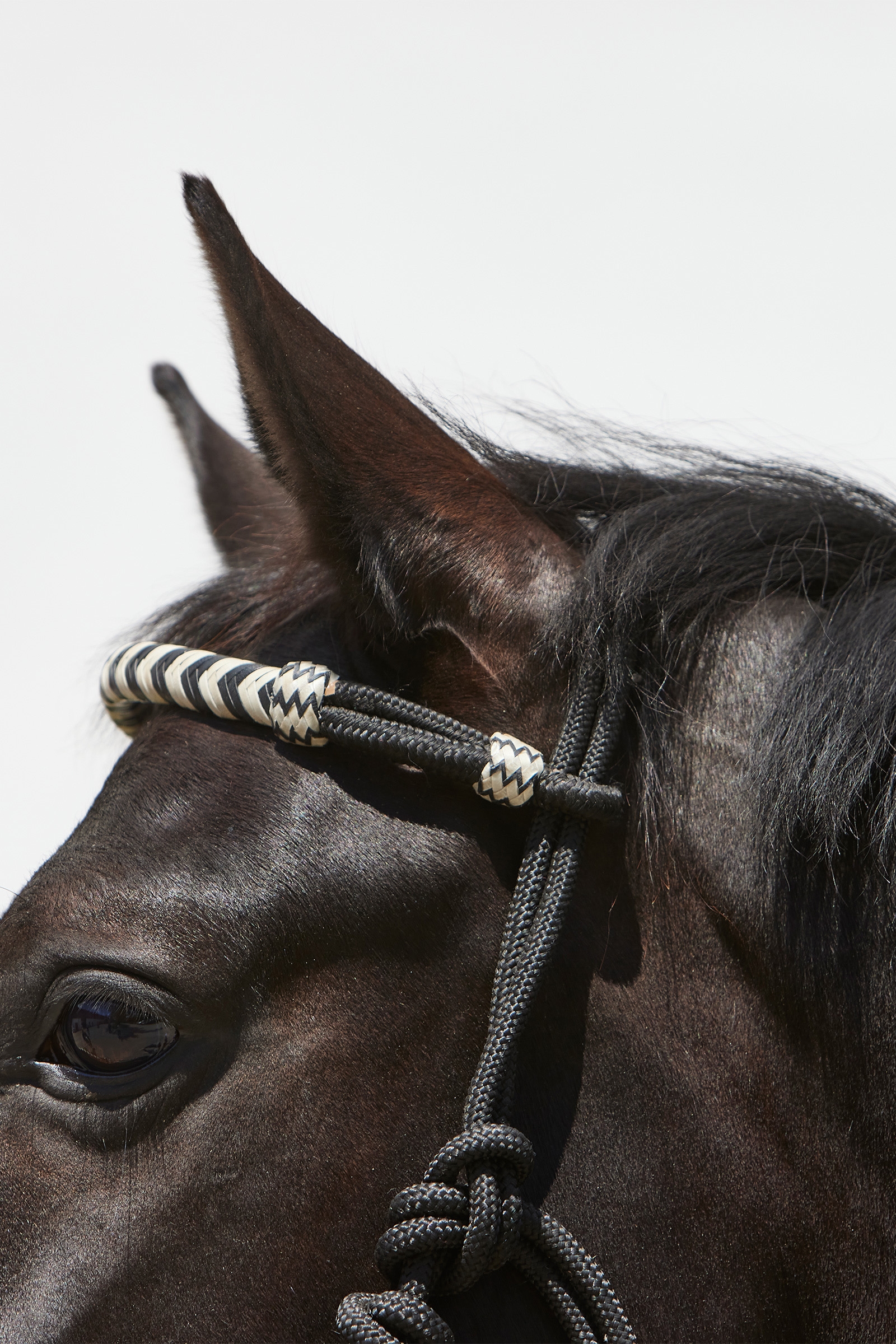 Cavezza in corda Kieffer Enya