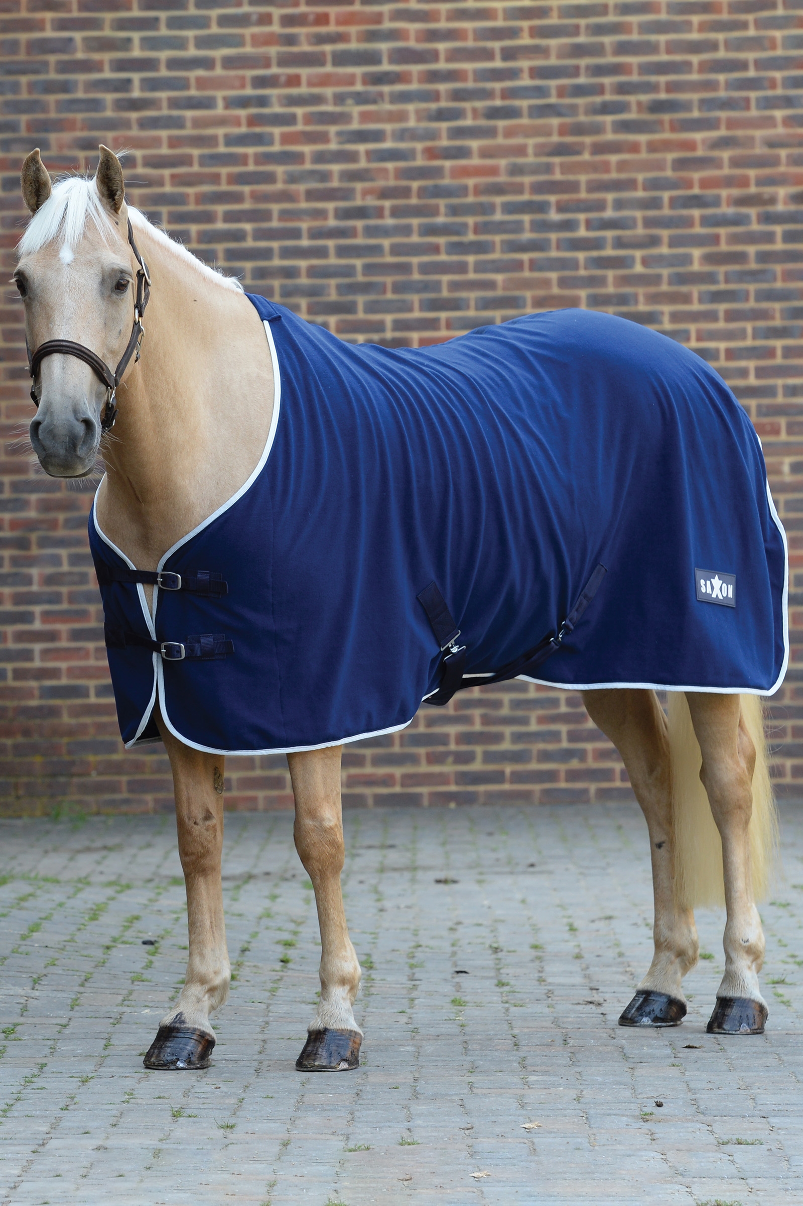 Saxon Coperta in pile