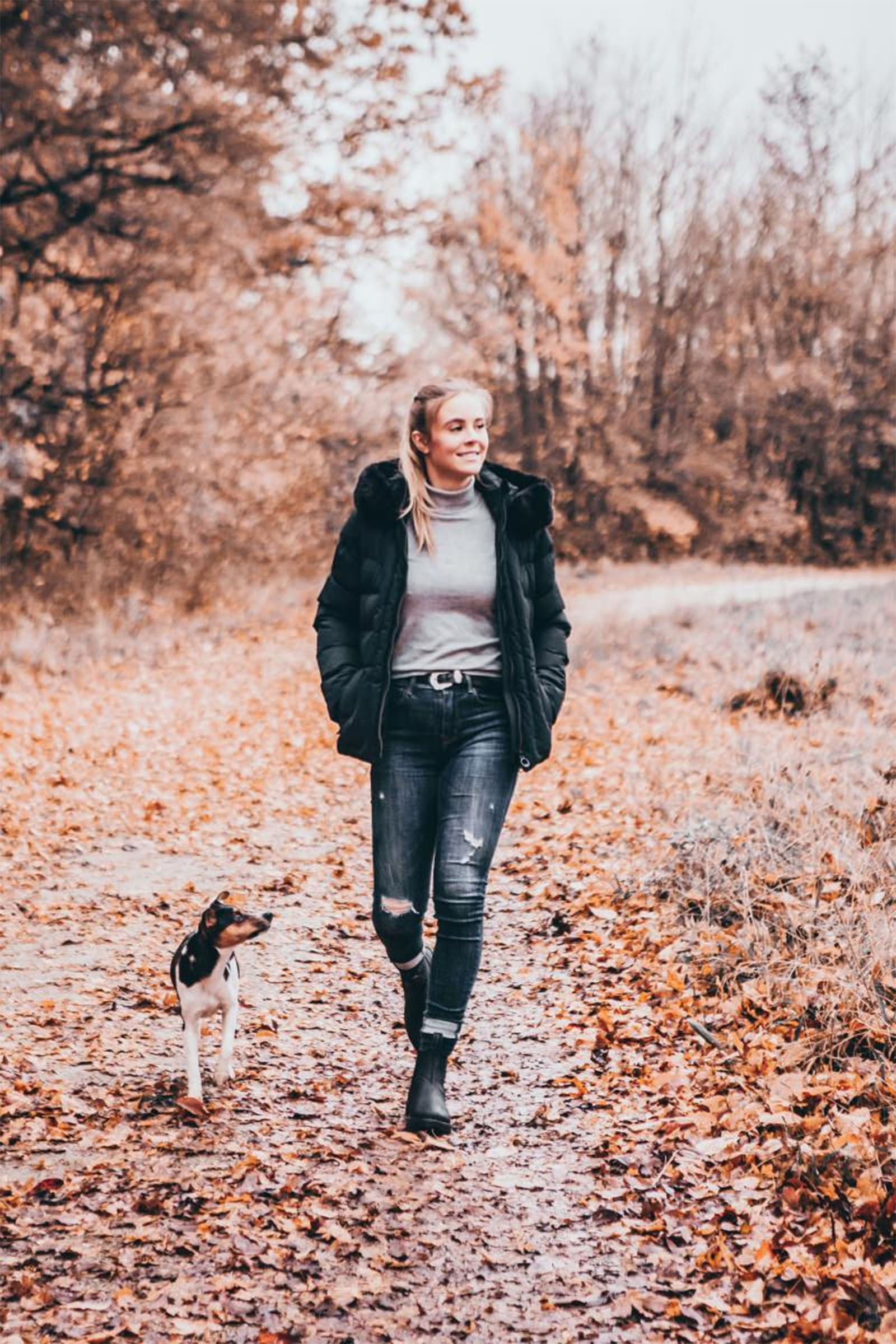 Suedwind Footwear New Work Stivaletti Jodhpur Chelsea Invernali