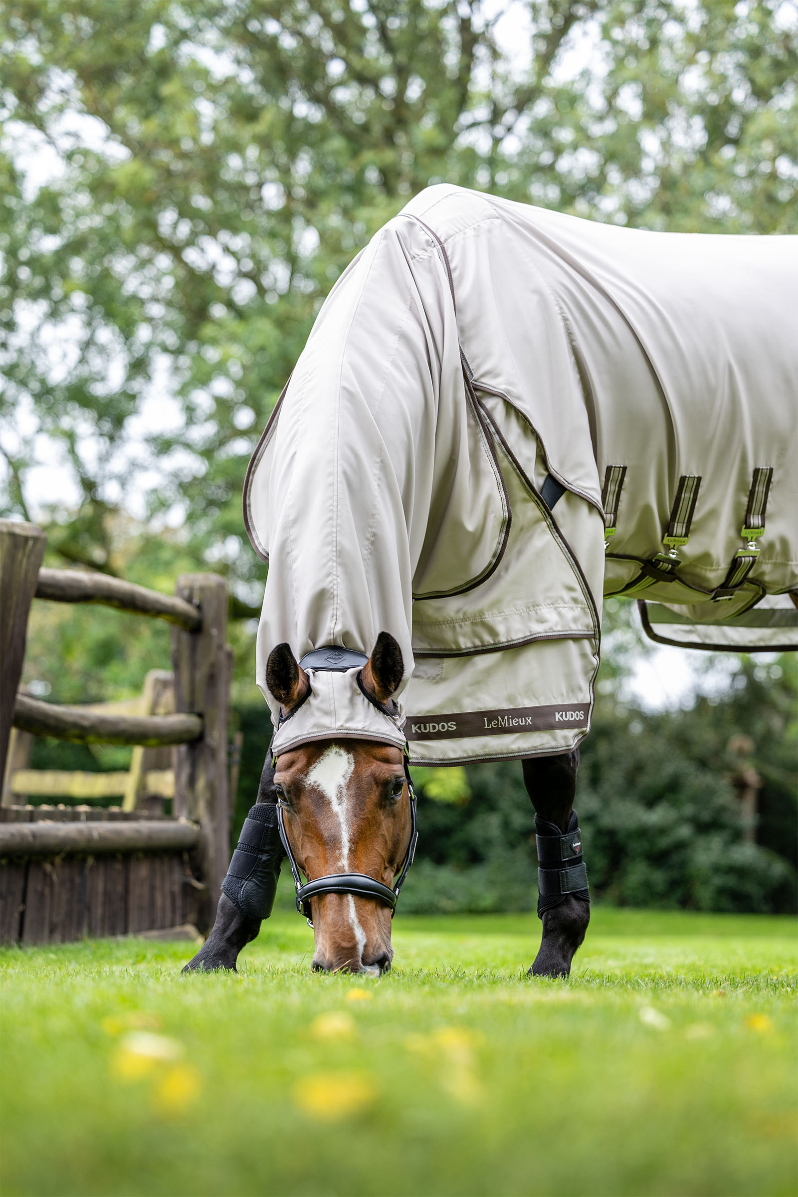 LeMieux Kudos coperta anti-prurito