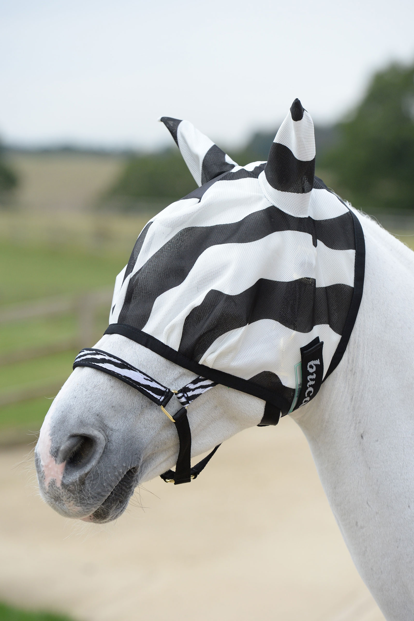 Buzz-Off Zebra Maschera antimosche 