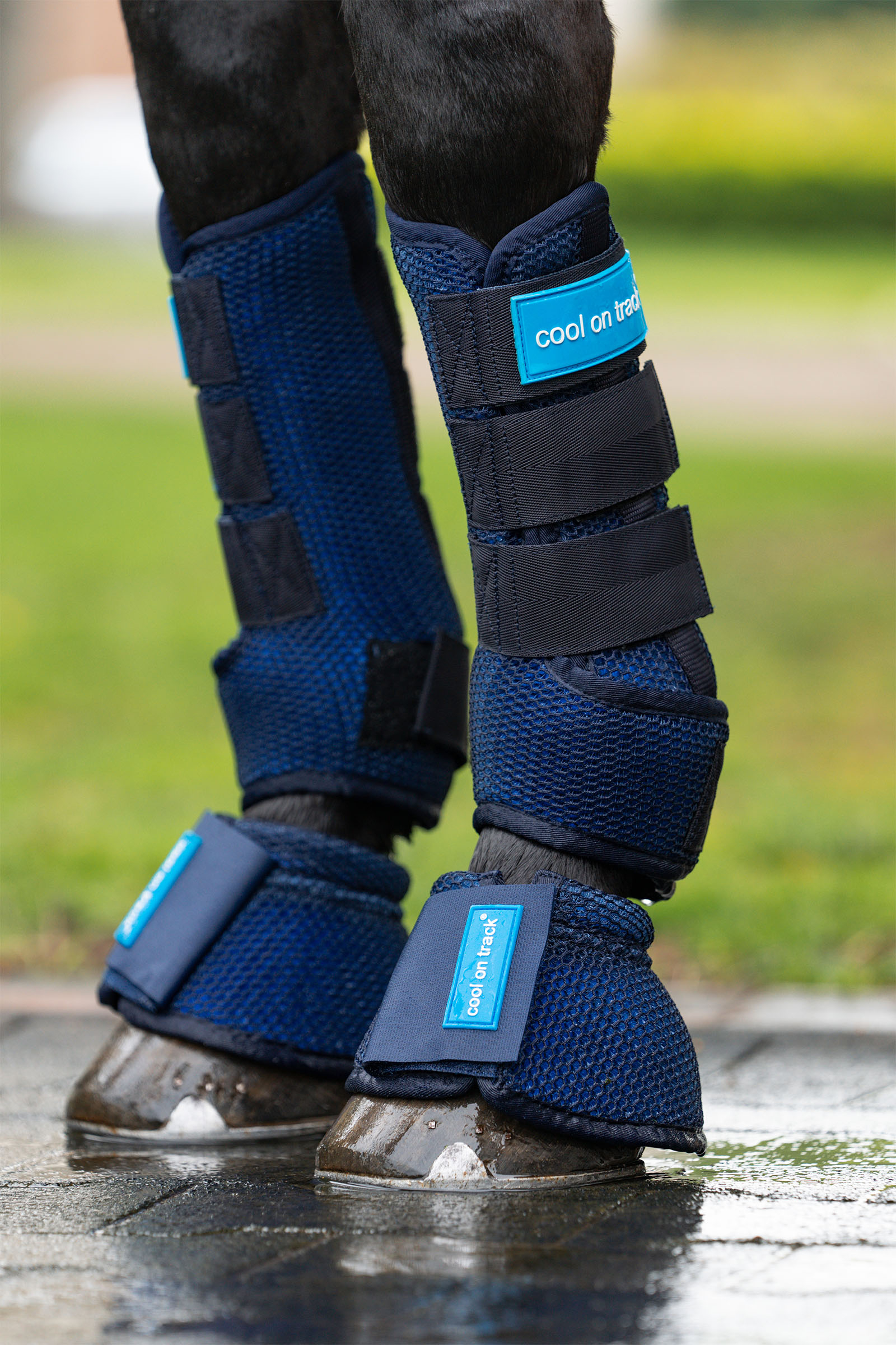 Back on Track Cool on Track stivali da cavallo