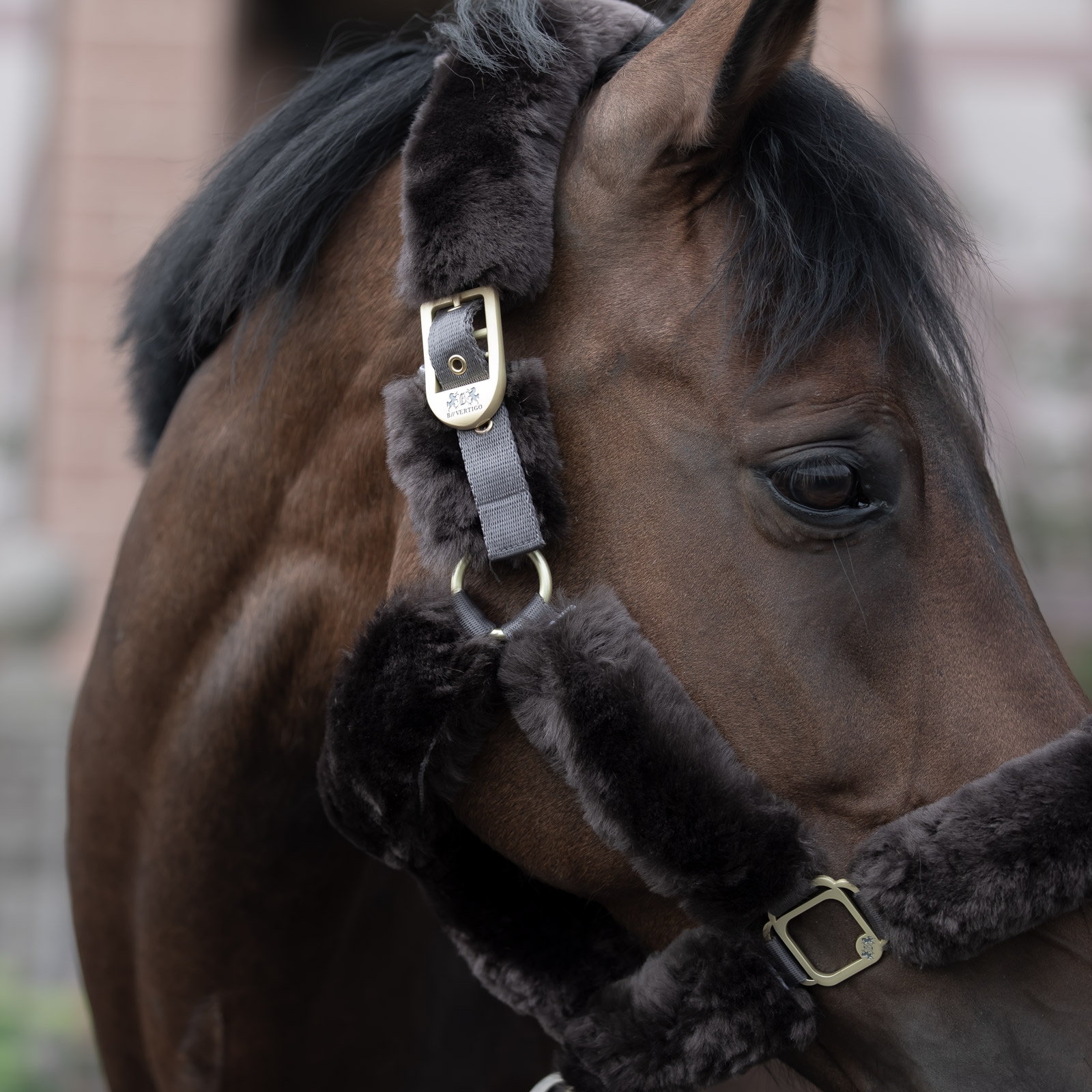 B Vertigo Capezza Tremblant in pelle di pecora