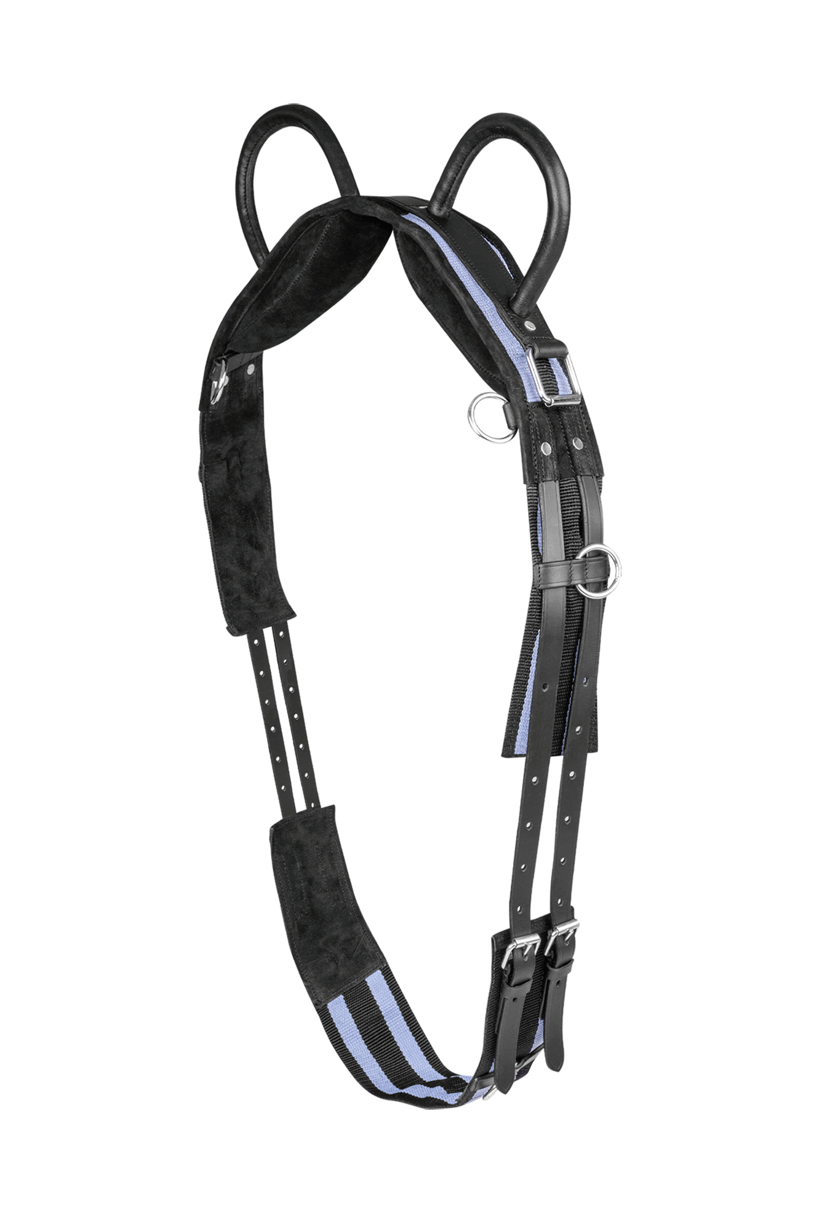 black/grey Waldhausen Surcingle con due maniglie