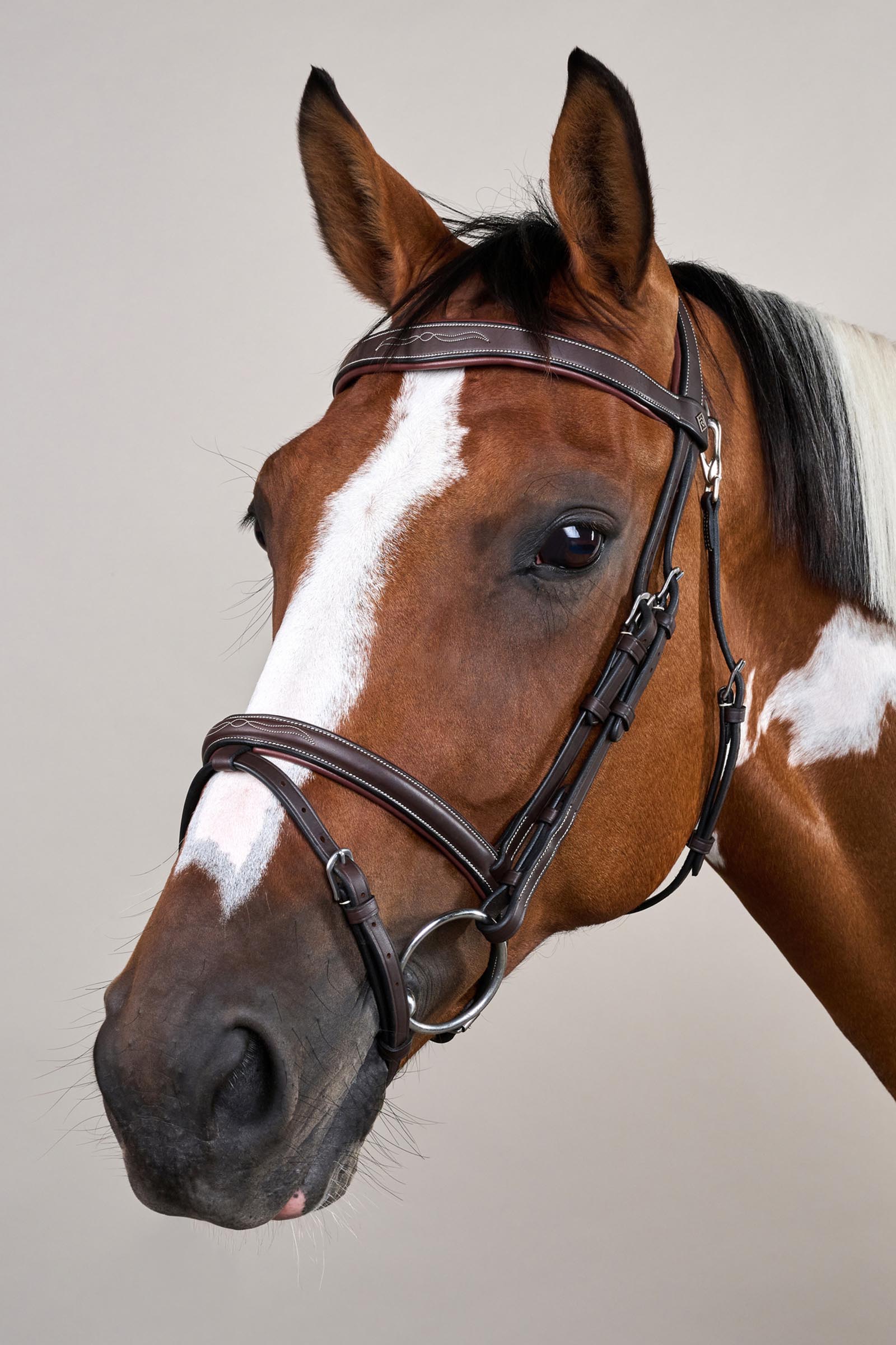 Dy'on Working briglia con capezzina combinata e moschettoni  