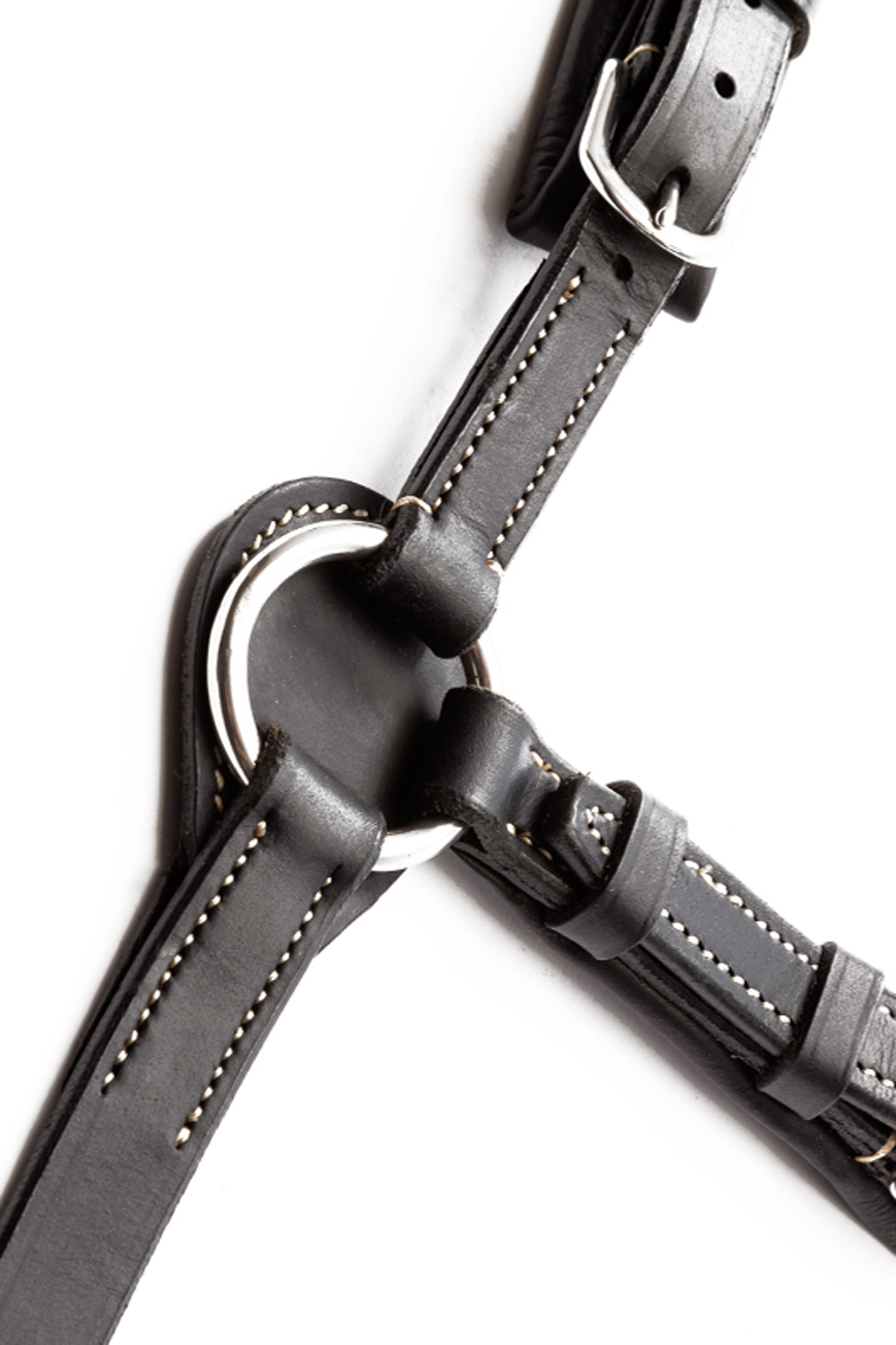 Kavalkade Jerome Pettorina a 2 Punti