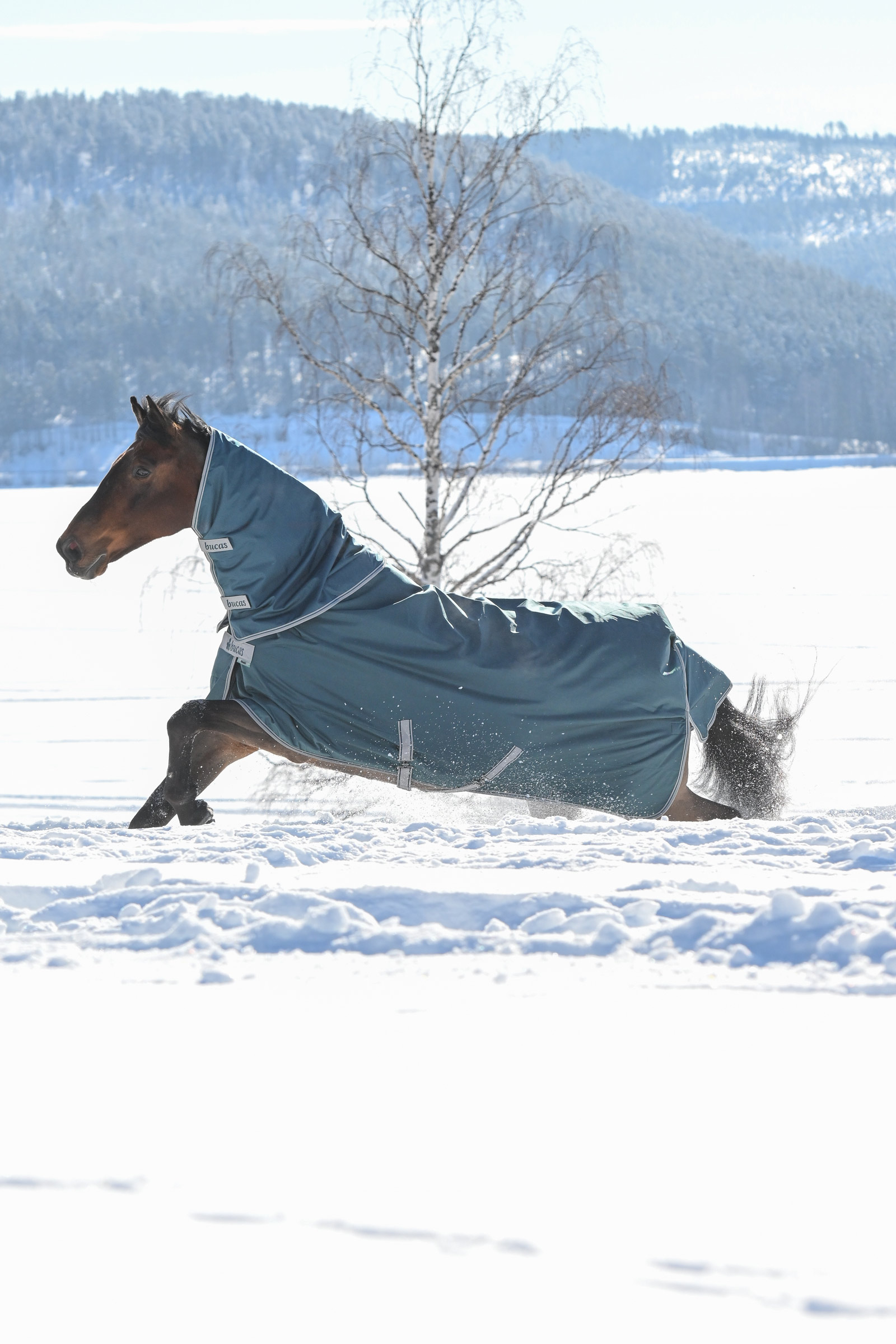 Bucas Atlantic colletto per coperta da turnout leggera, 300 g