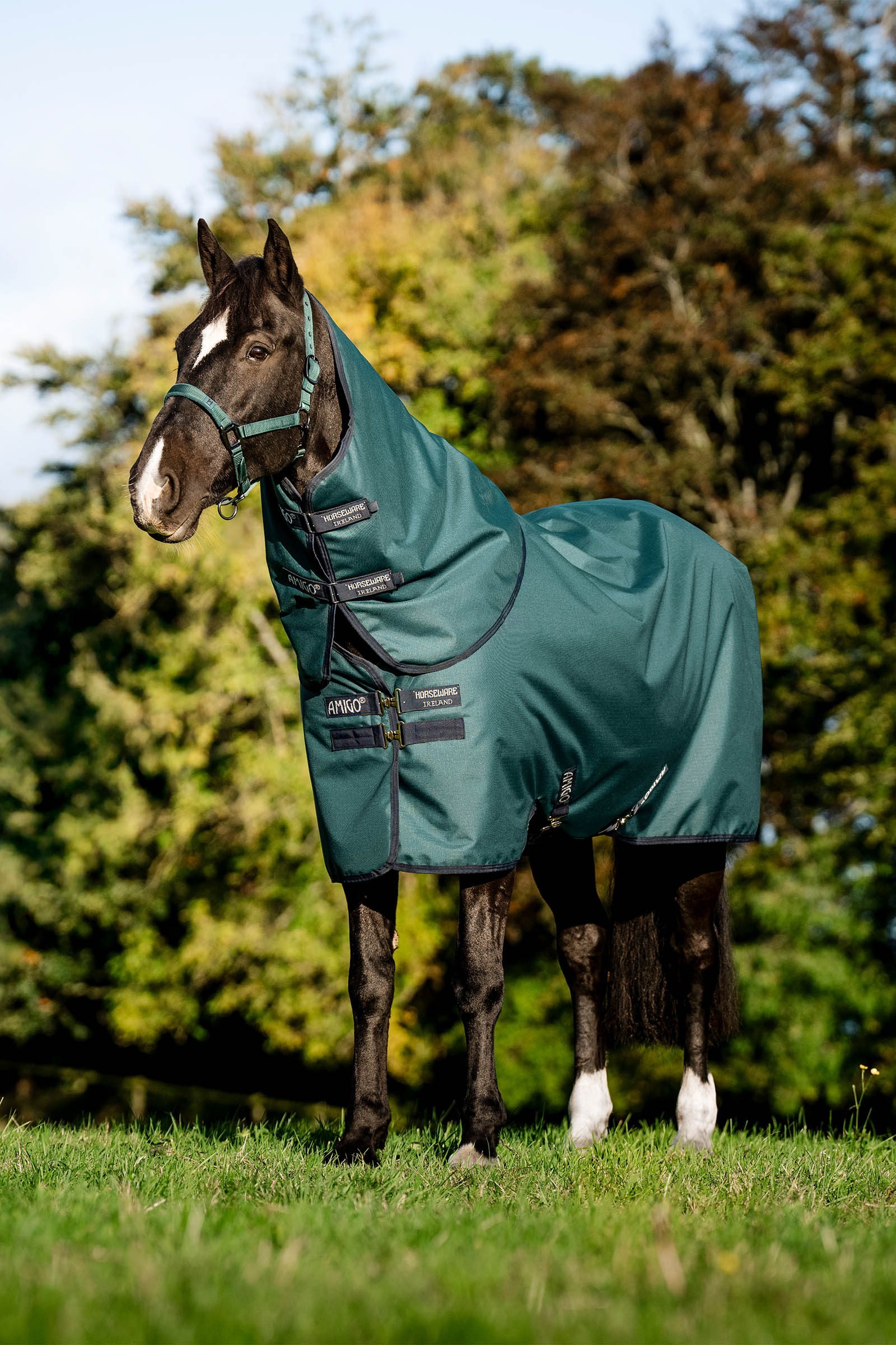 Horseware Amigo Ripstop 900D Plus Turnout Rug With Detachable Neck, 0 g
