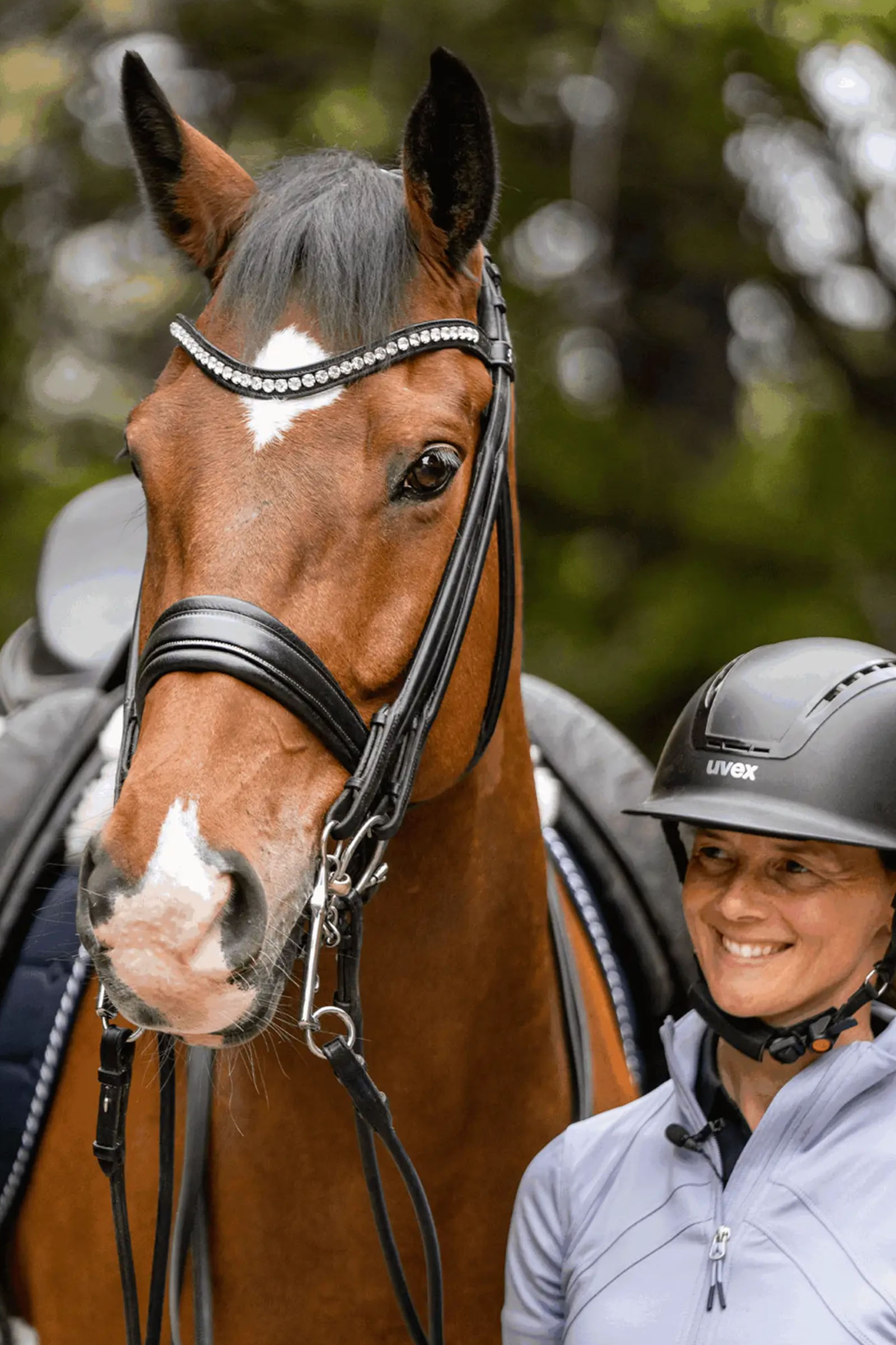 Sprenger Novocontact Weymouth 14mm Sensogan con bracci in acciaio inox da 7cm