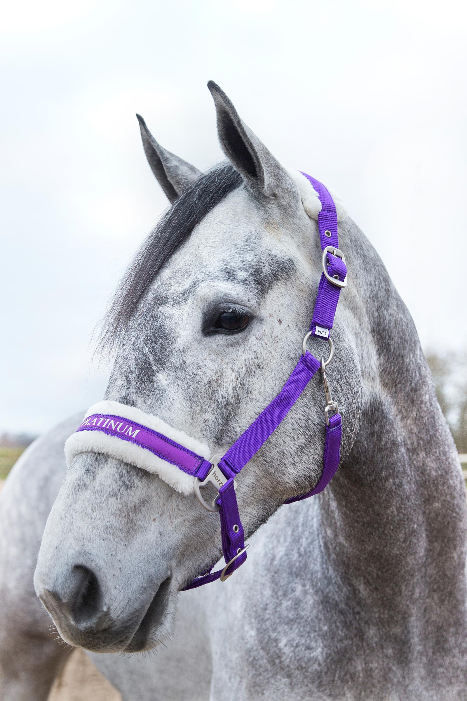 Horze Cavezza Howard