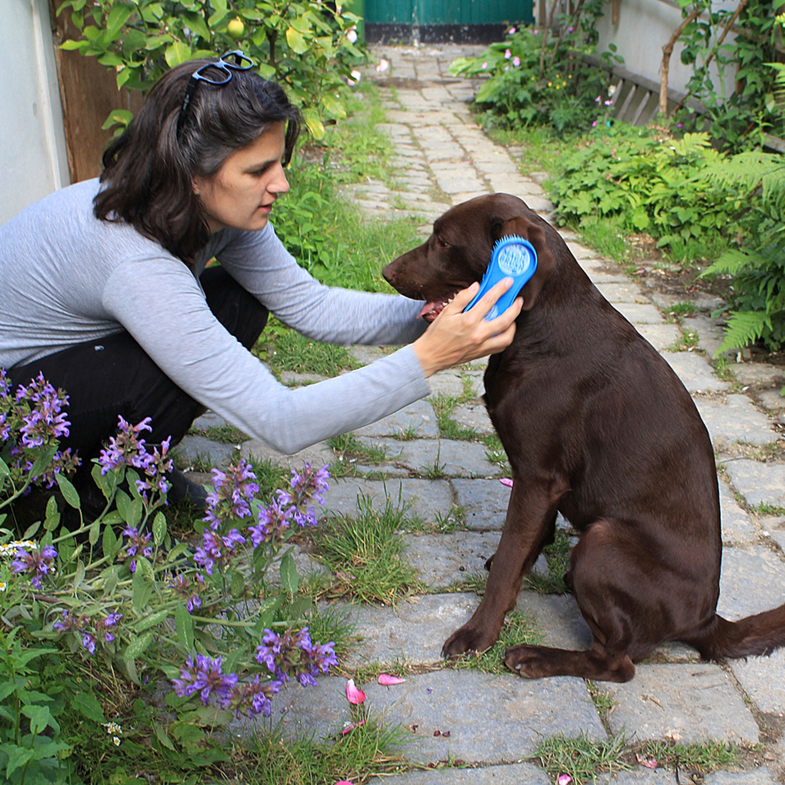 Kerbl Magic Brush Cane