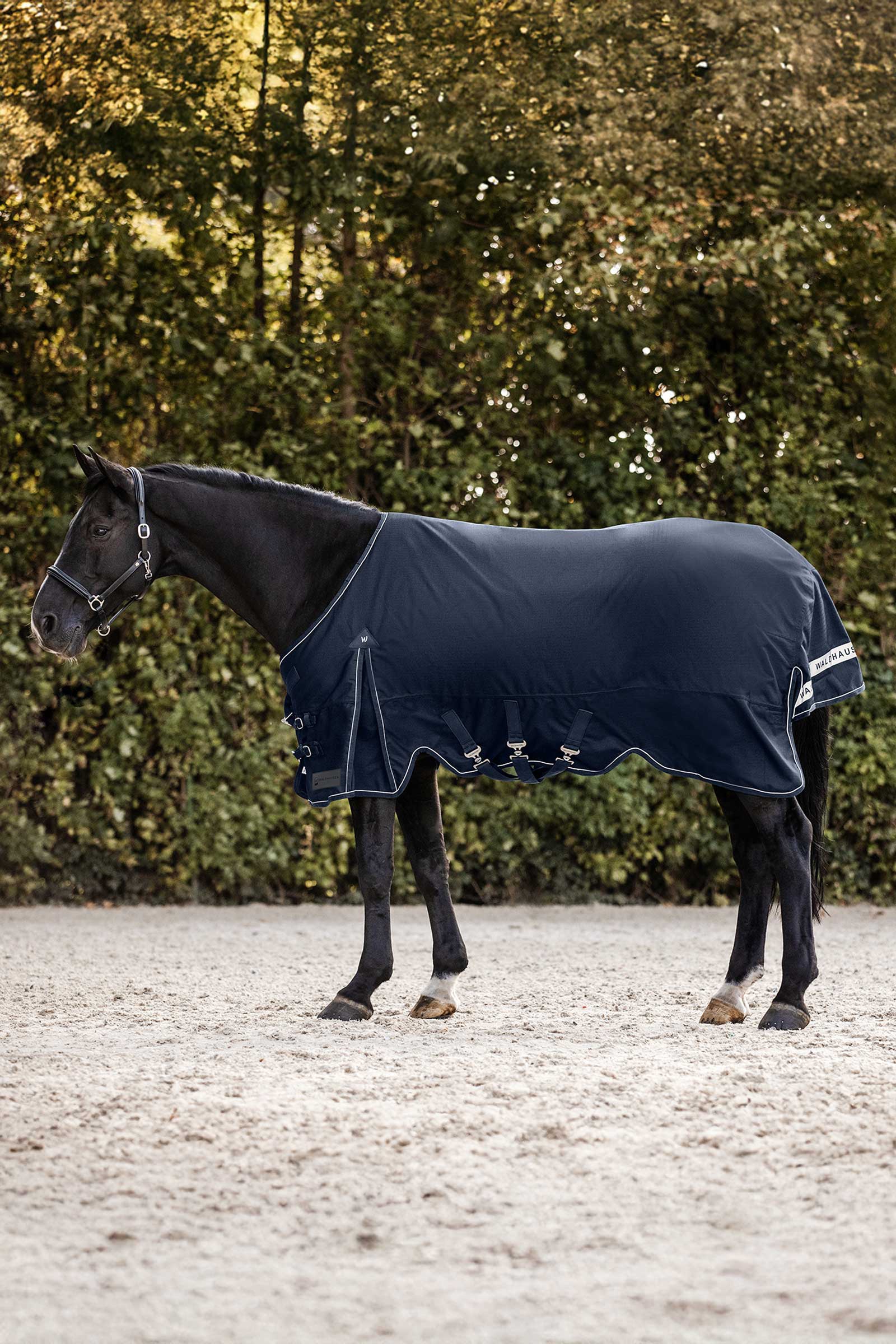 Night Blue Waldhausen Scandic Coperta da turnout leggera, 200 g