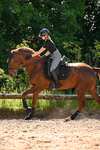 Waldhausen Breath Performance sottosella dressage