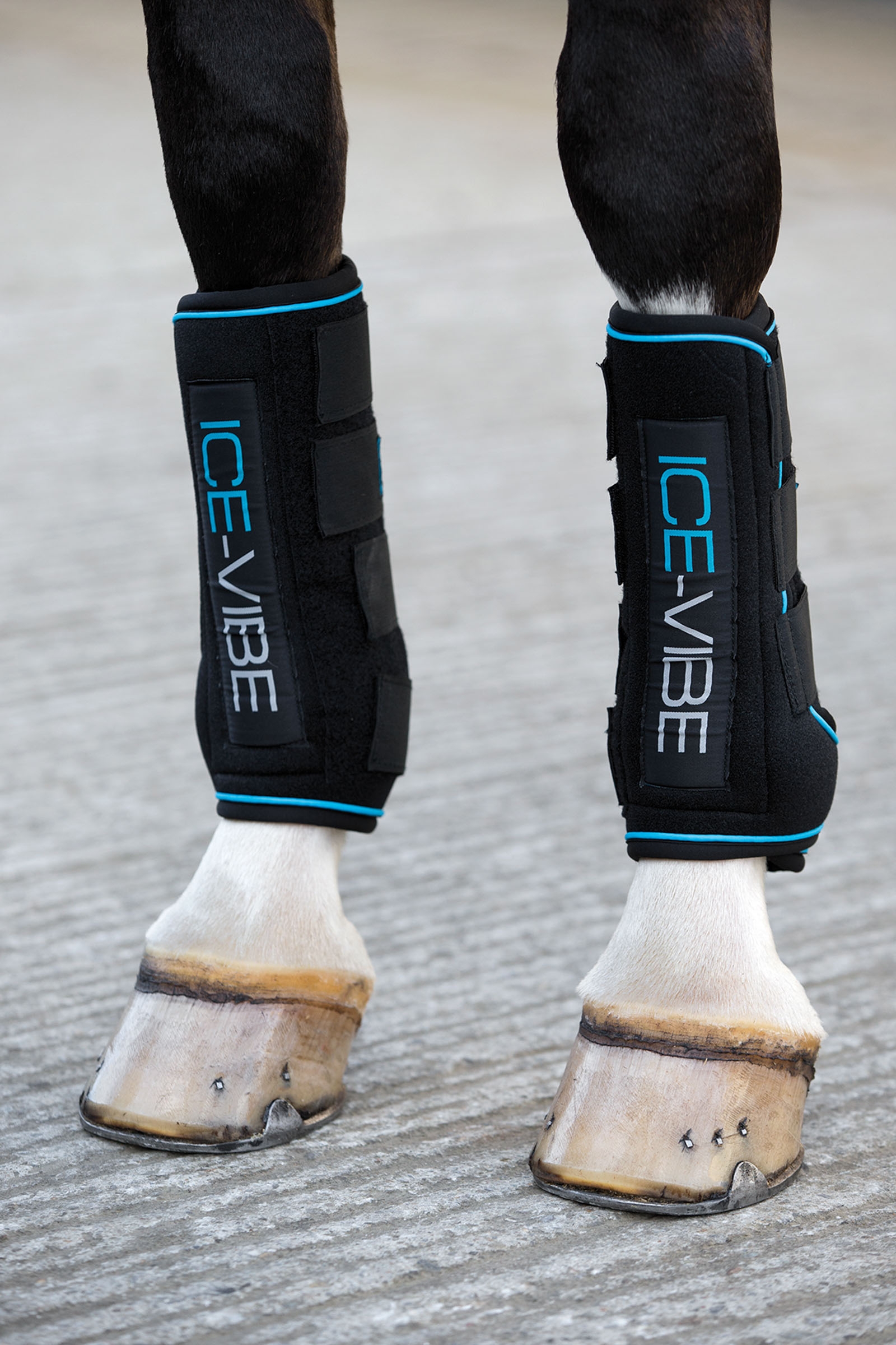Stivali Ice Vibe Horseware