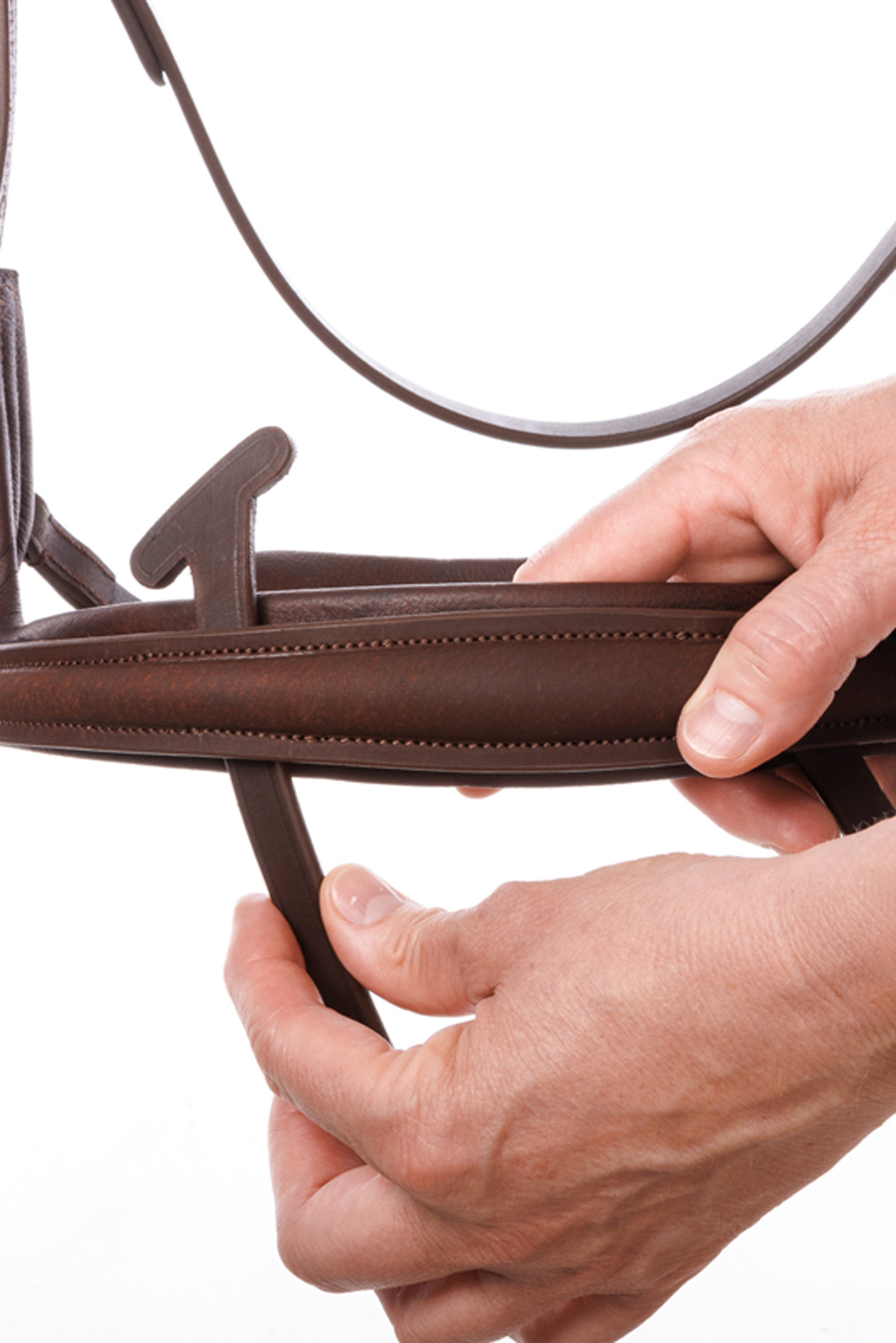 Kavalkade Caliano Briglia Inglese