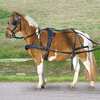 Waldhausen Pettorina Singola Pony e Shetty