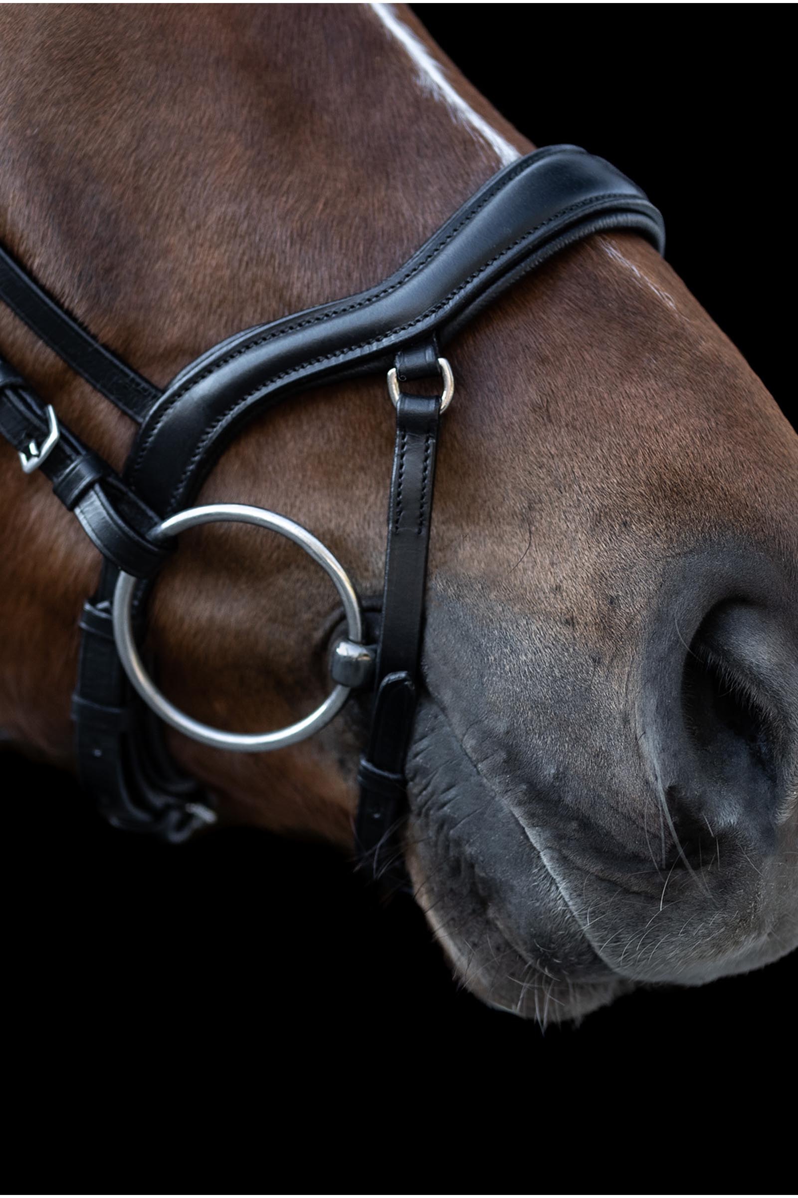 Waldhausen X-Line New Shape II Cavezza