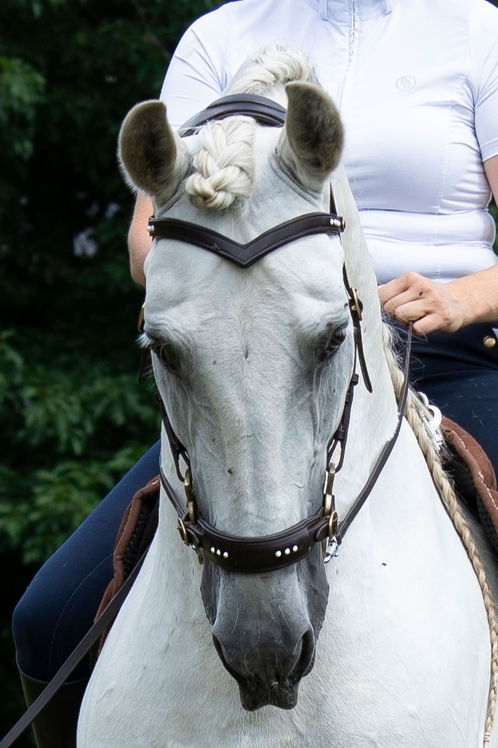 F.R.A. Freedom Riding Articles Glory briglia Hackamore con redini (Sistema 2), marrone