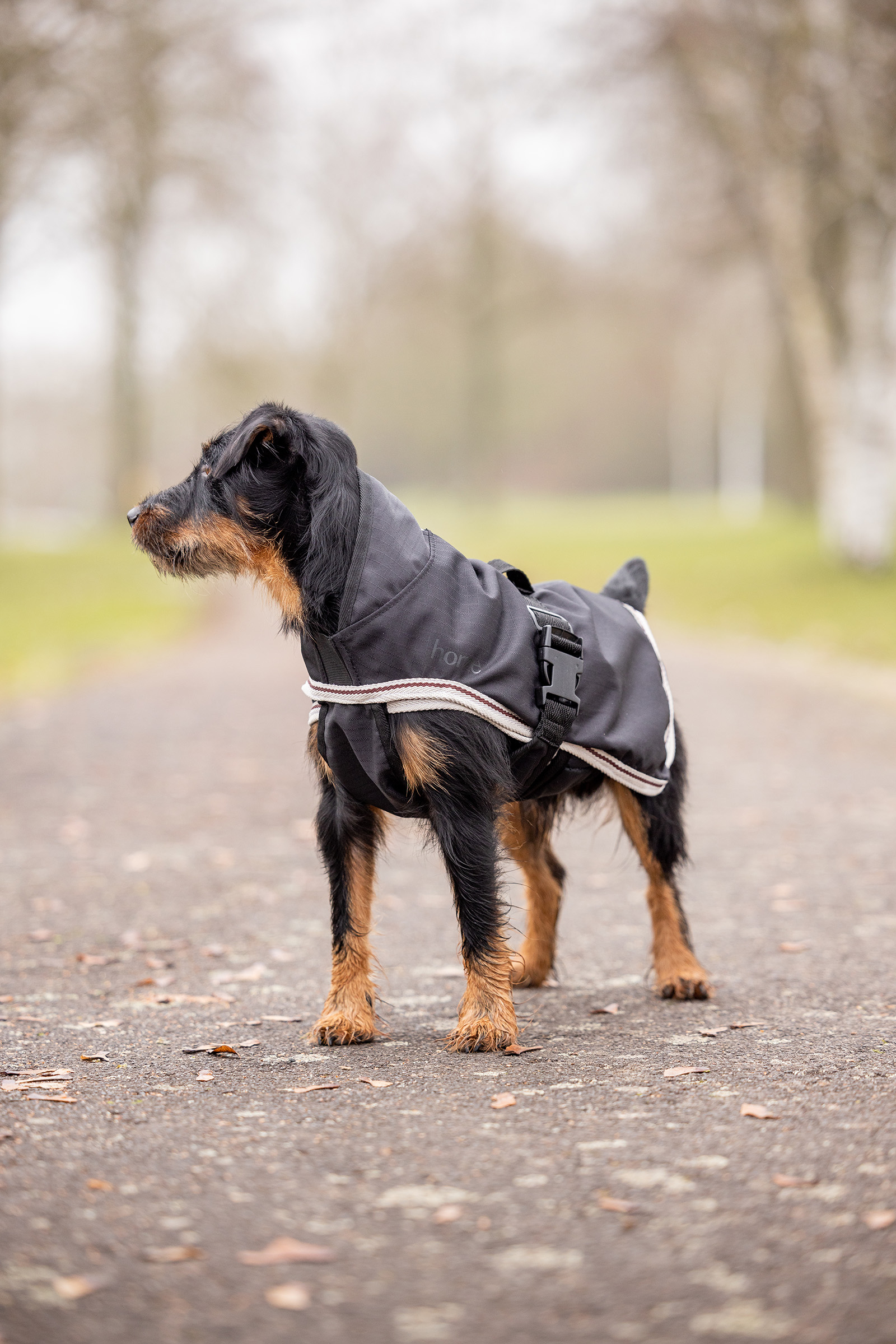 Horze Sudbury Coperta per cani 2 in 1 0 gr, 100 gr