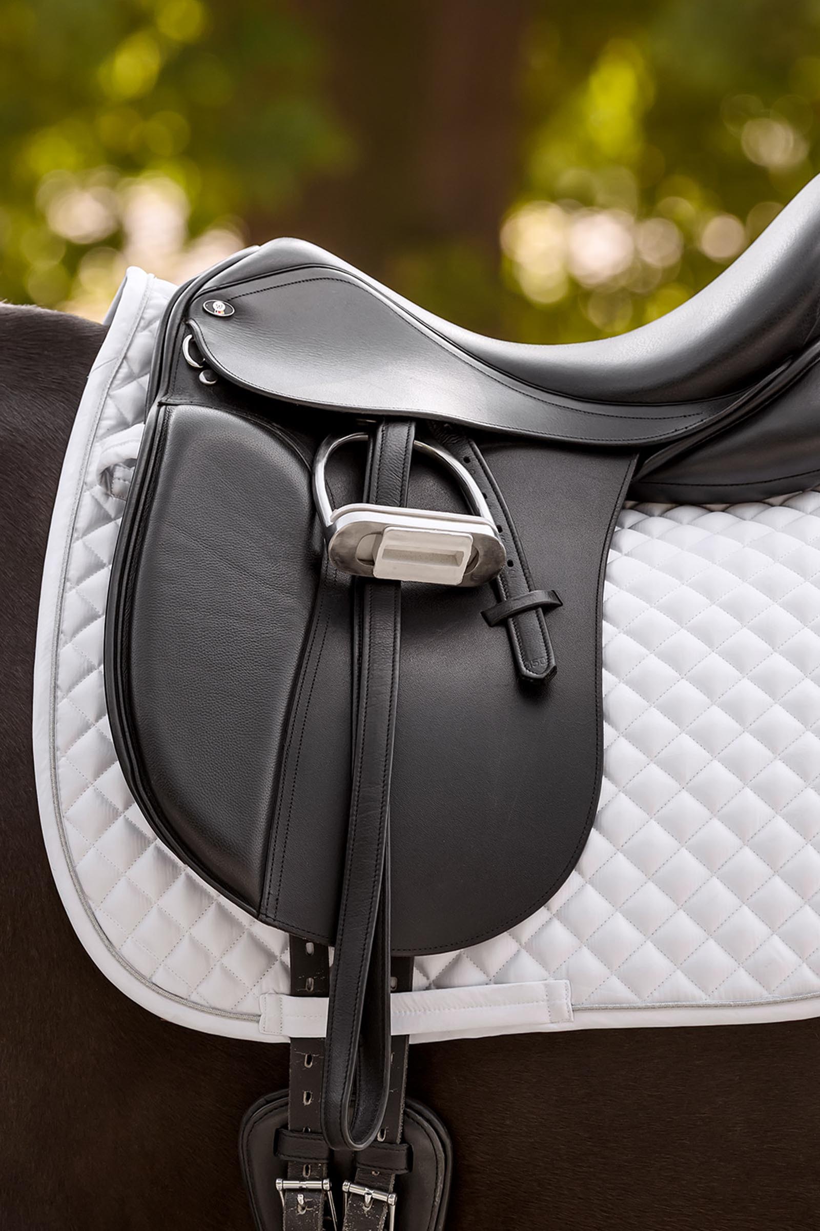 Waldhausen Felix Glam sottosella dressage