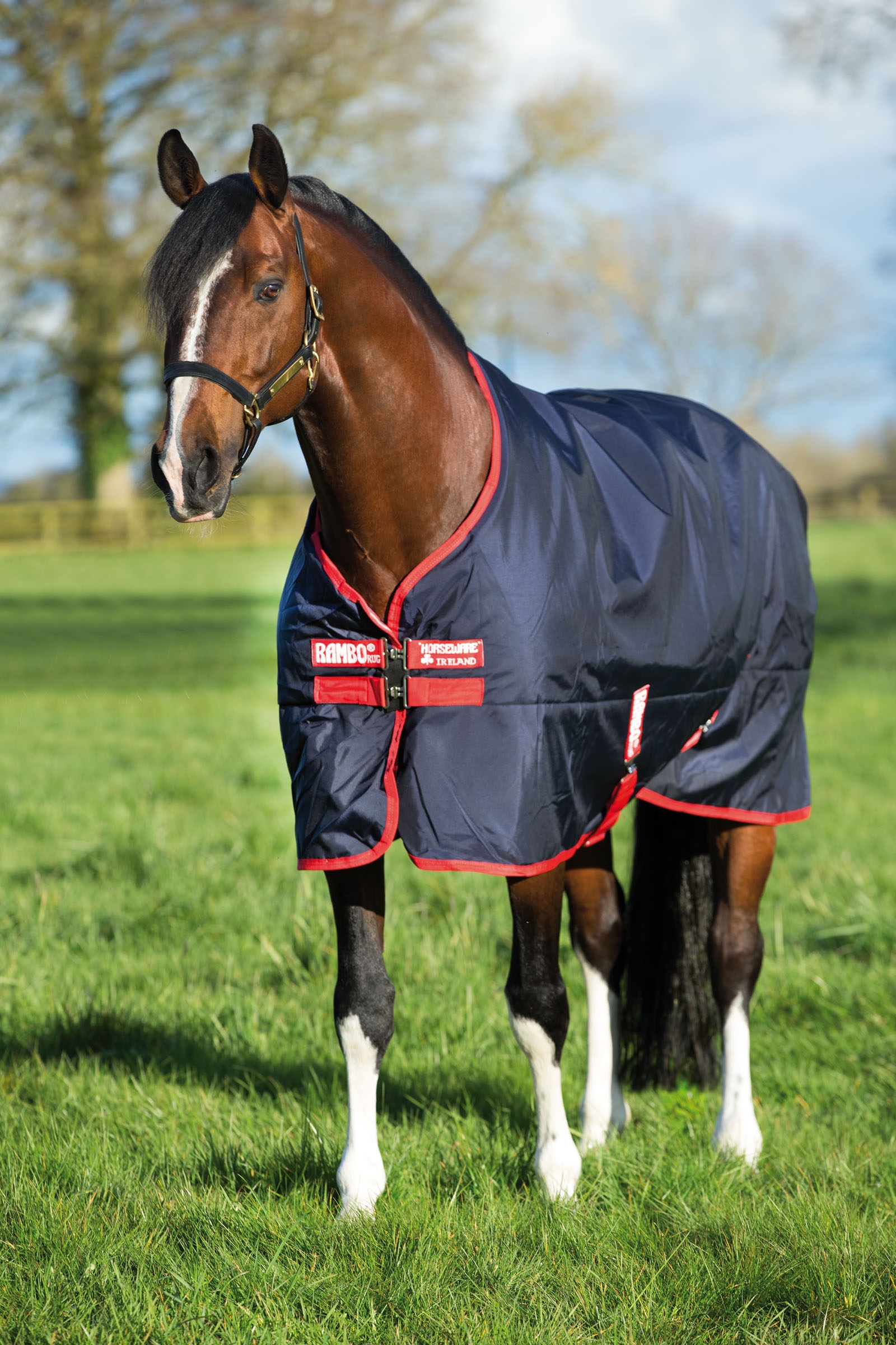 Horseware Rambo Original Turnout, 200g