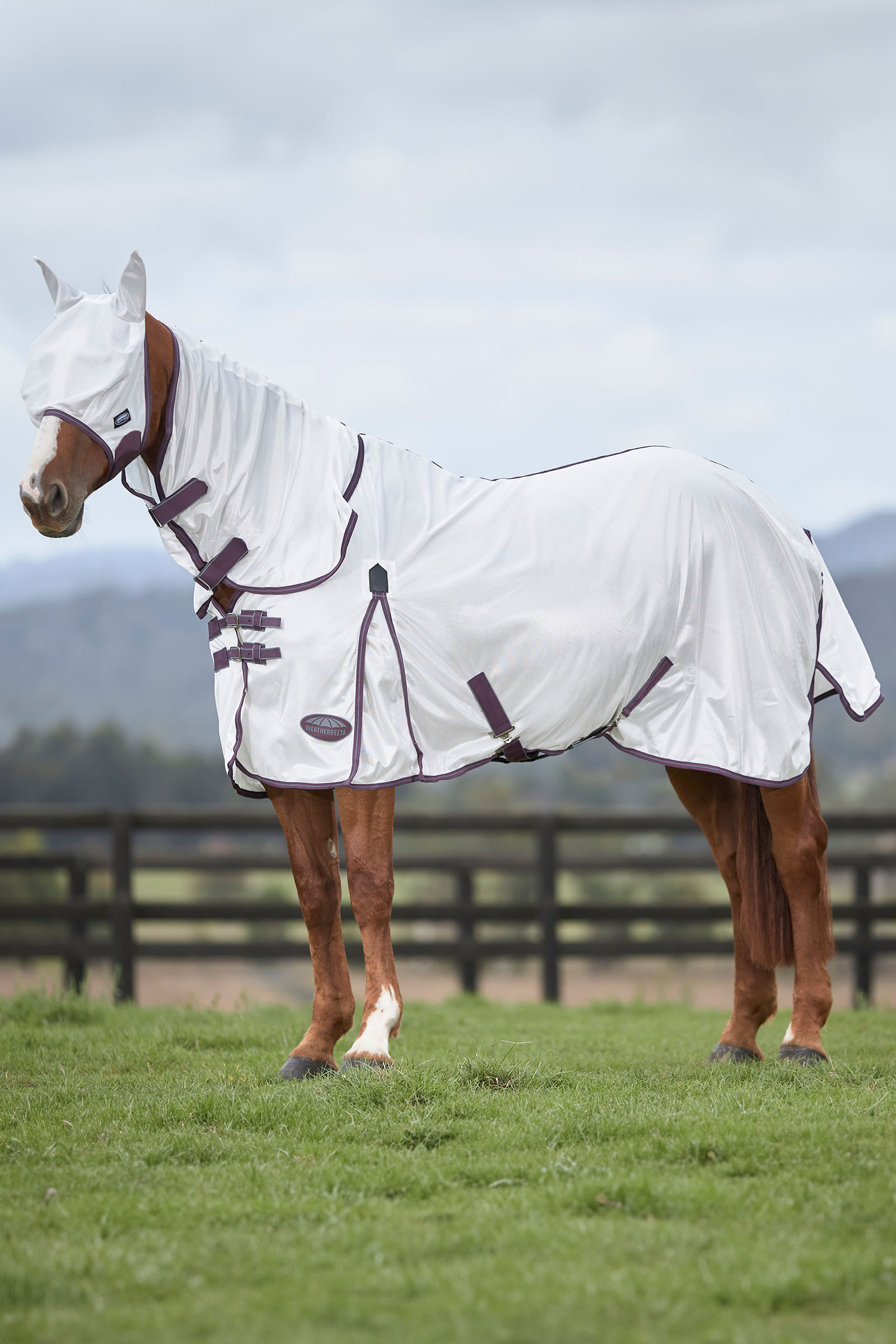 Weatherbeeta Comfitec Essential maschera in mesh