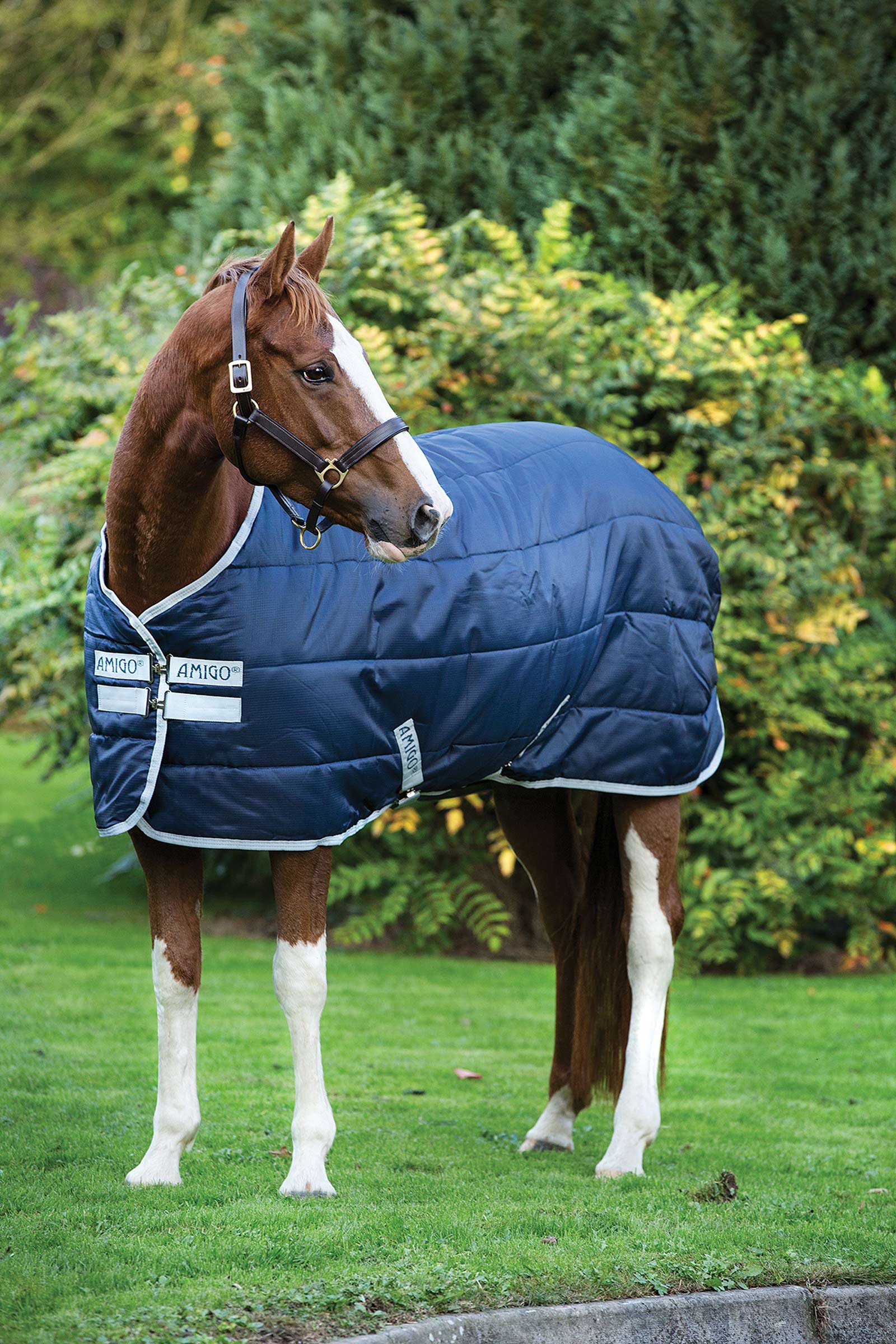 Horseware Amigo Insulator coperta da stalla, 200g