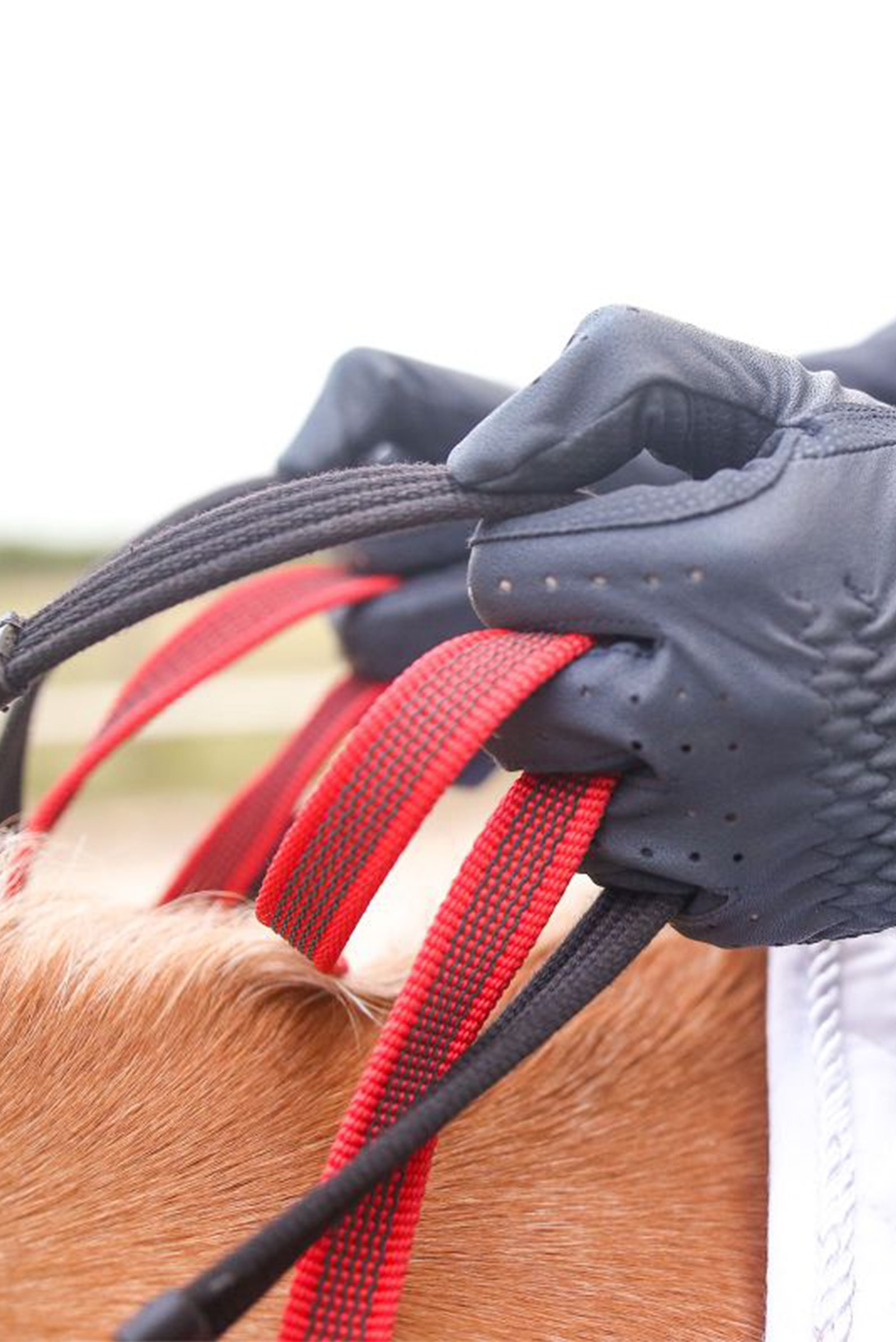 Waldhausen Secutrust Pettorale con redini di sicurezza