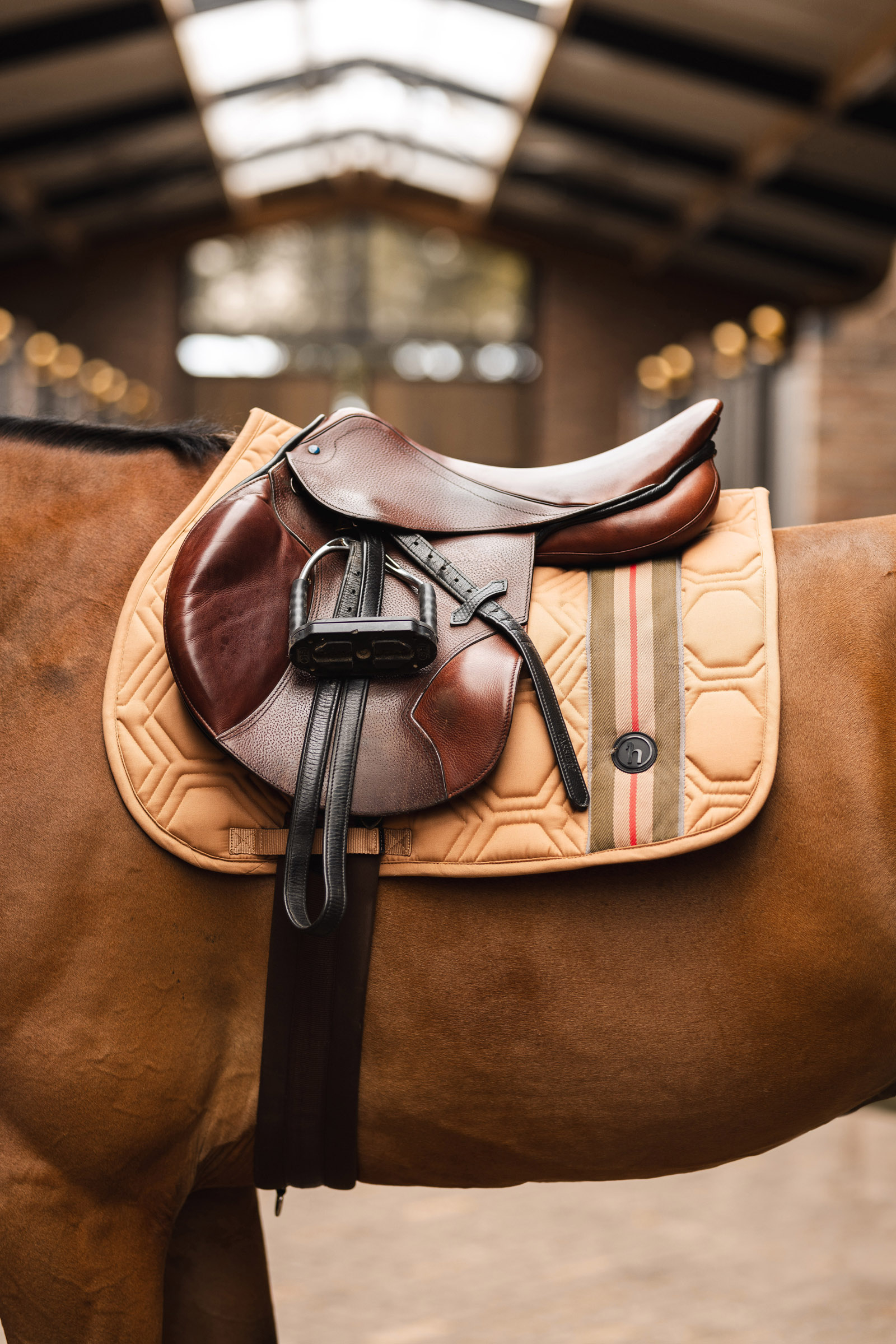 Horze High Life Sottosella da salto