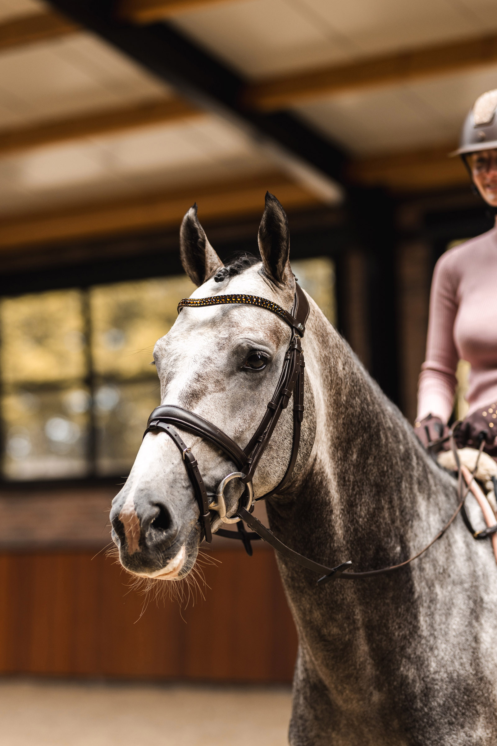 Horze St. Moritz Frontalino