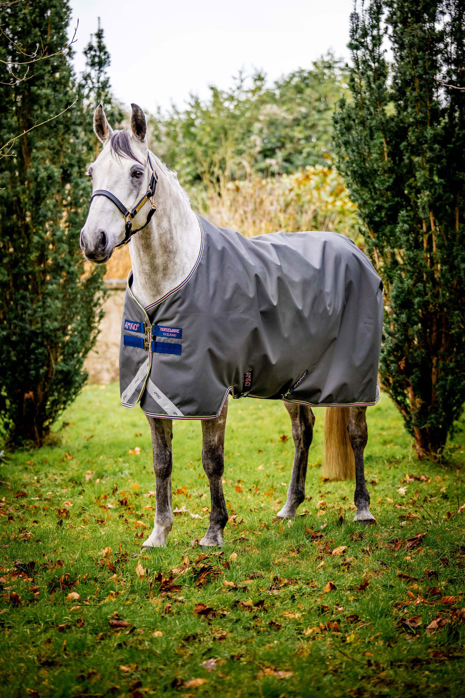 Horseware Amigo Bravo 12 coperta da paddock, 0 g