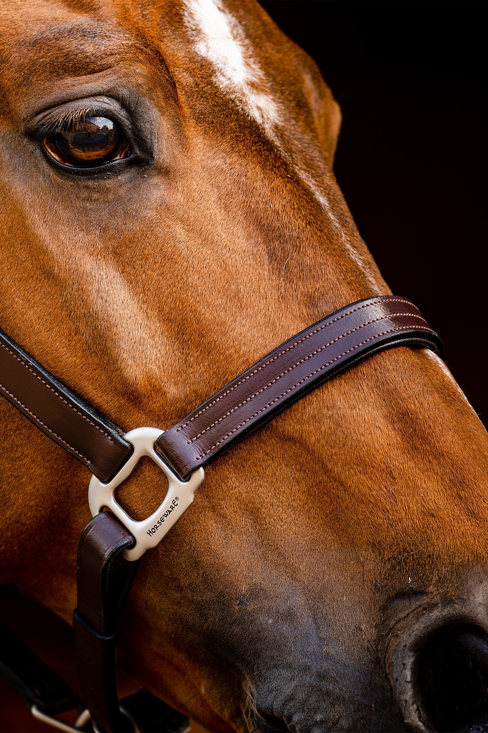Cavezza in cuoio Horseware Signature