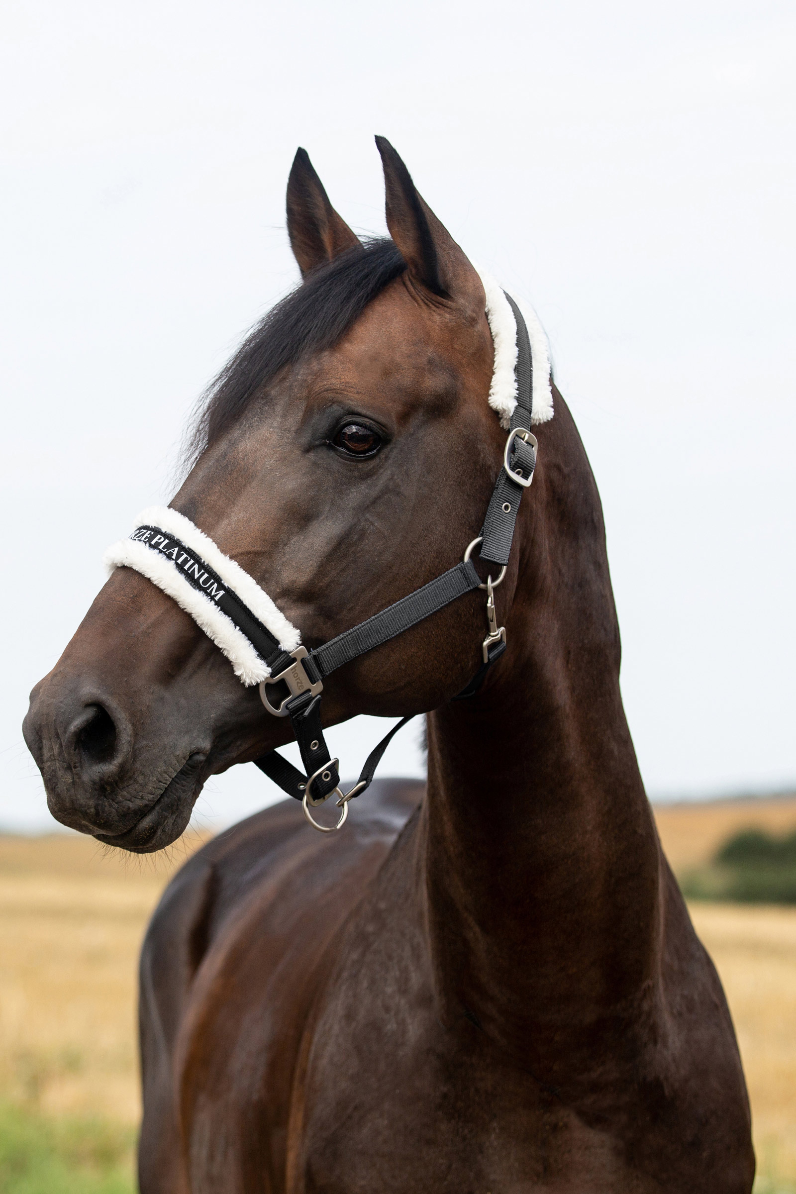 Horze Howard capezza