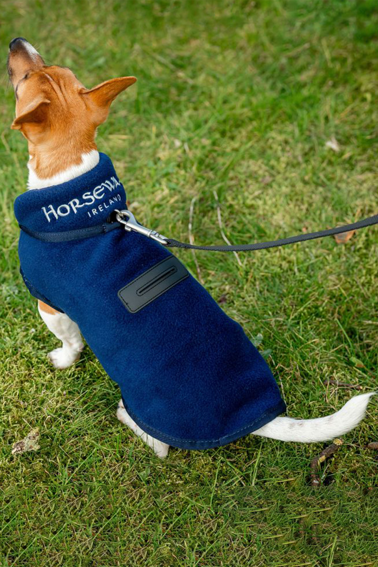 Coperta in pile per cani Horseware Signature