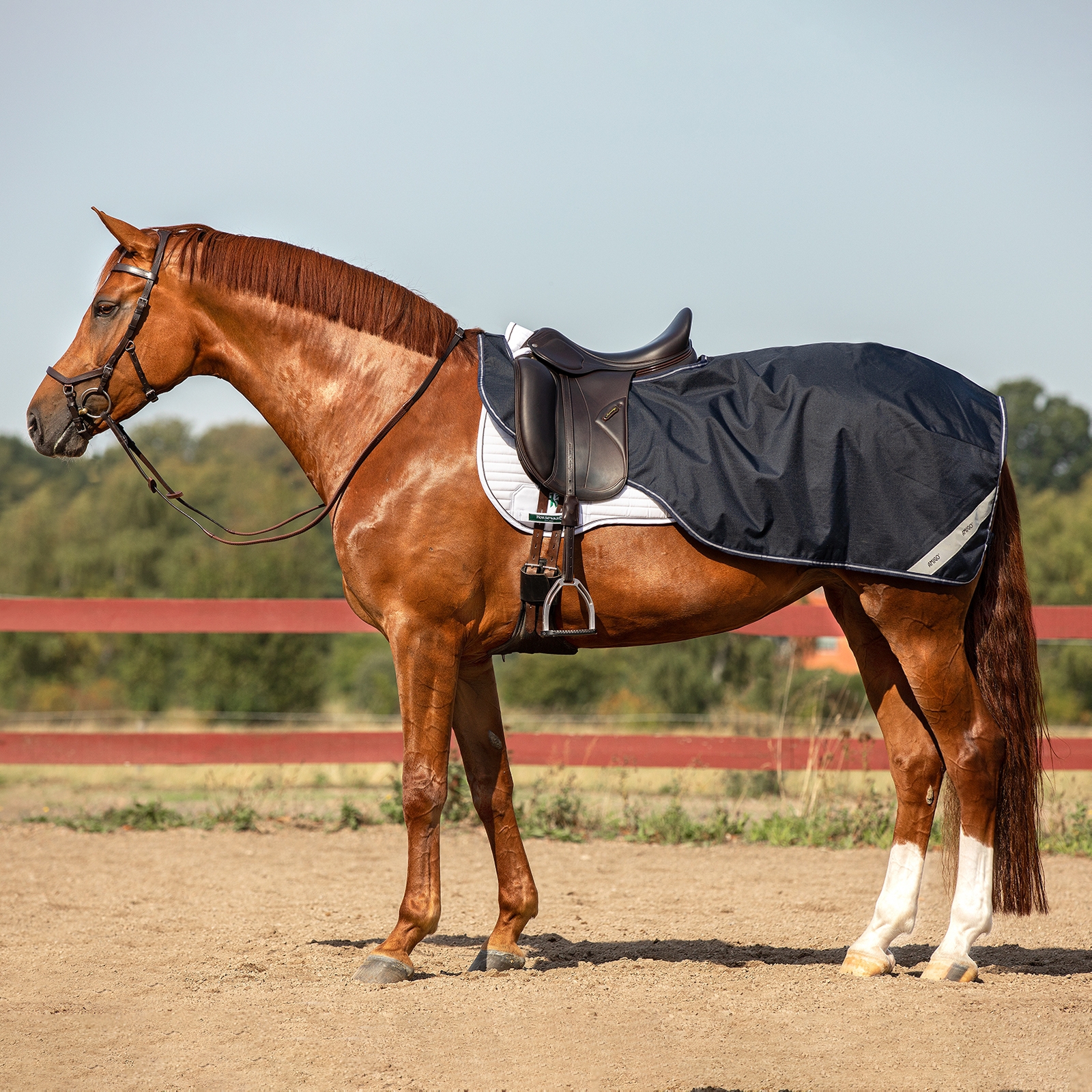 Coperta da equitazione Horseware Amigo Ripstop